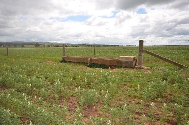 "Baileys" Farrell Flat Road, Farrell Flat SA 5416, Farrell Flat - Thumbnail 6