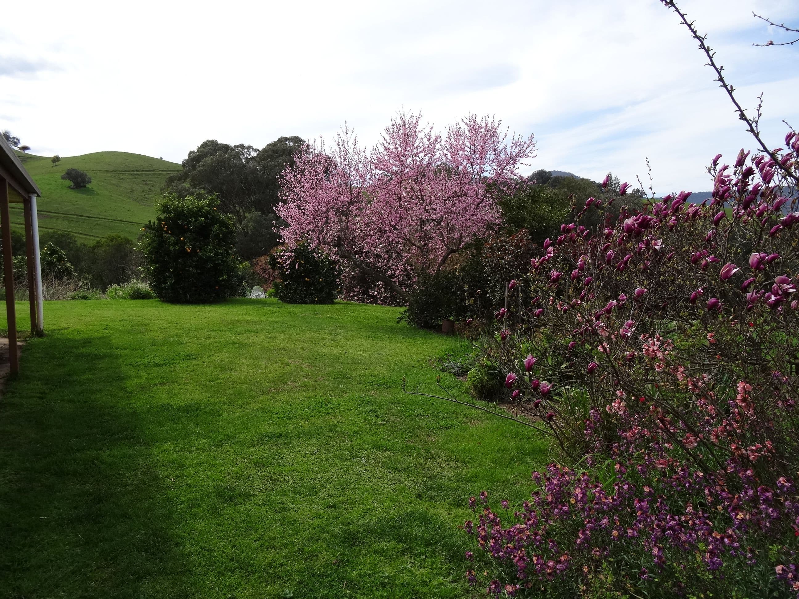 1916 Georges Creek Road, Tallangatta VIC 3700, Tallangatta - Thumbnail 7
