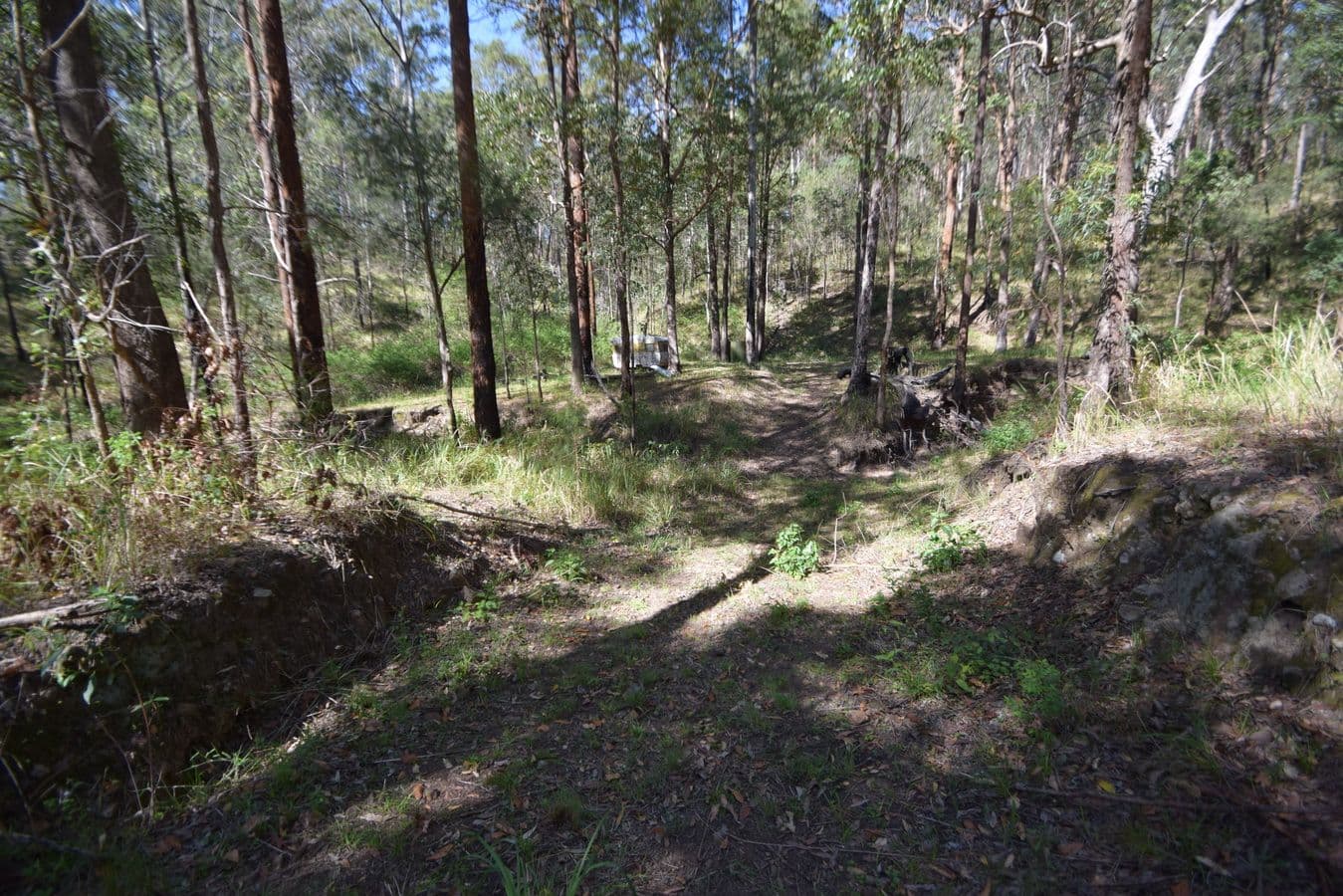 282 Whipbird Drive, Buaraba QLD 4311, Buaraba - Thumbnail 4