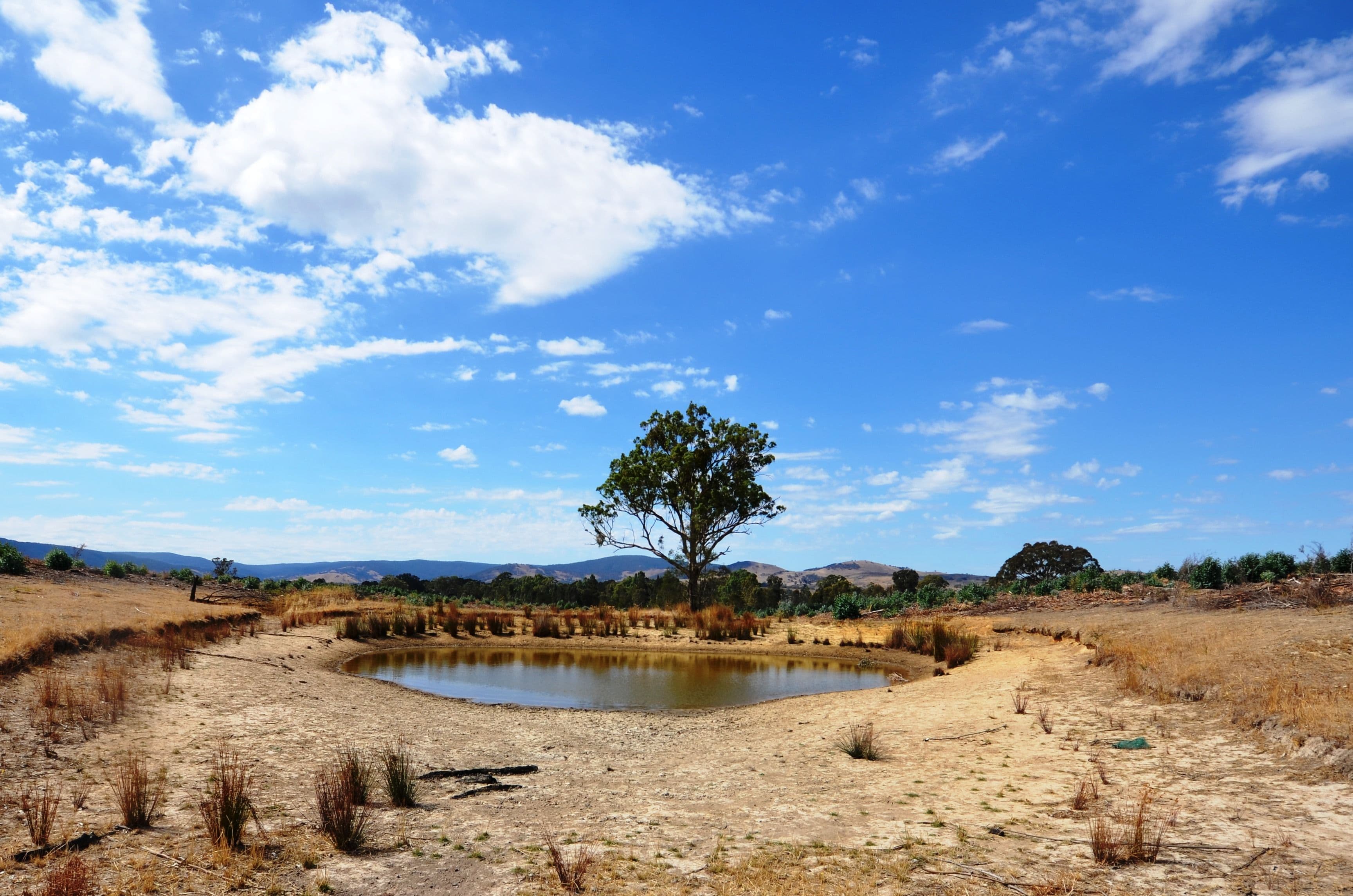 "Darbyshire" Hickman Creek Road, Glenlogie VIC 3469, Glenlogie - Thumbnail 5