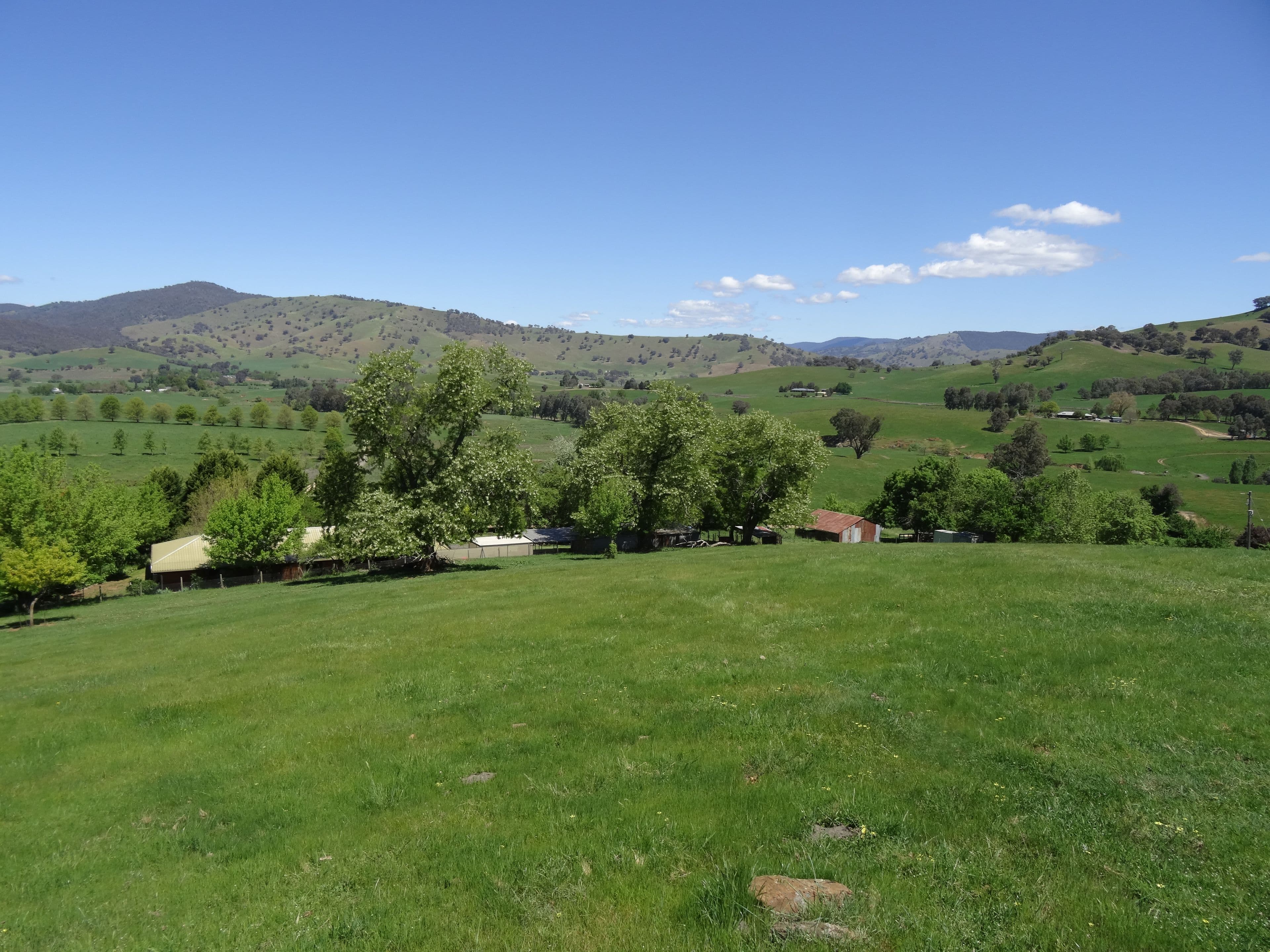 146 Mulholland Road, Georges Creek VIC 3700, Georges Creek - Thumbnail 2