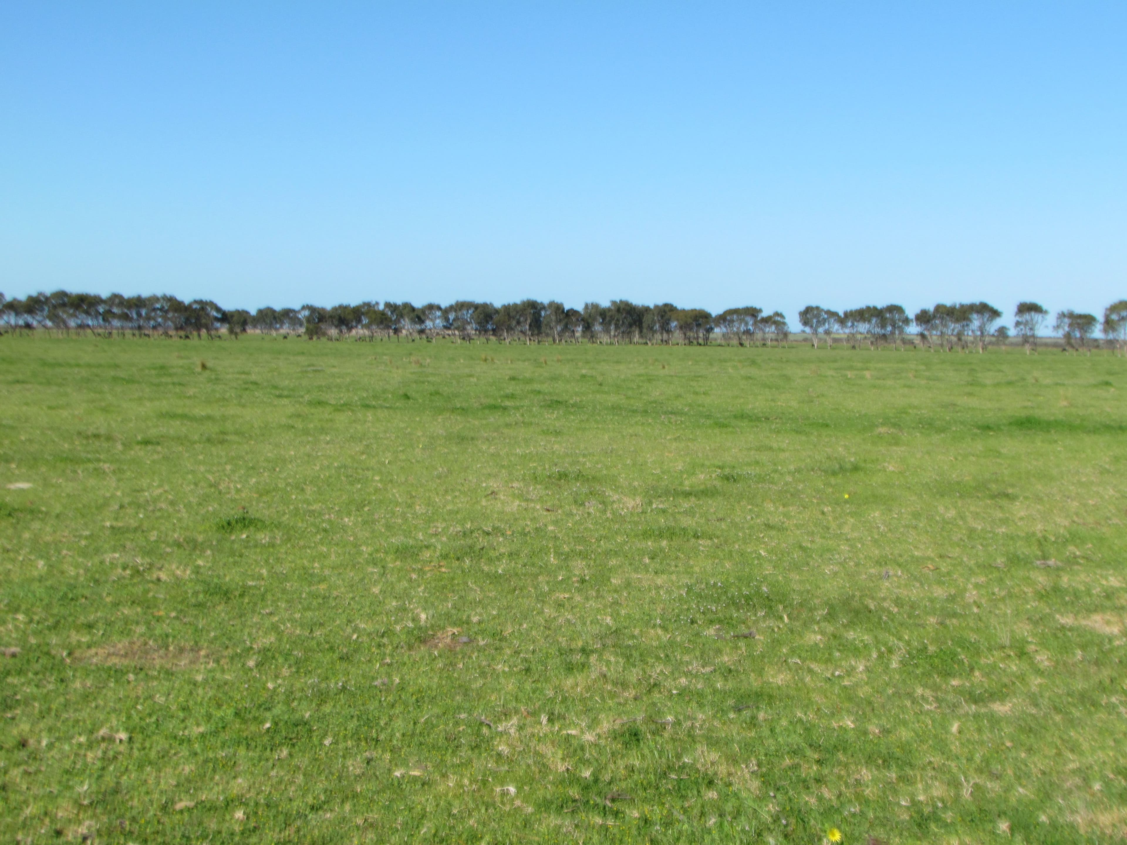 Jerdacuttup WA 6346, Jerdacuttup - Image 1