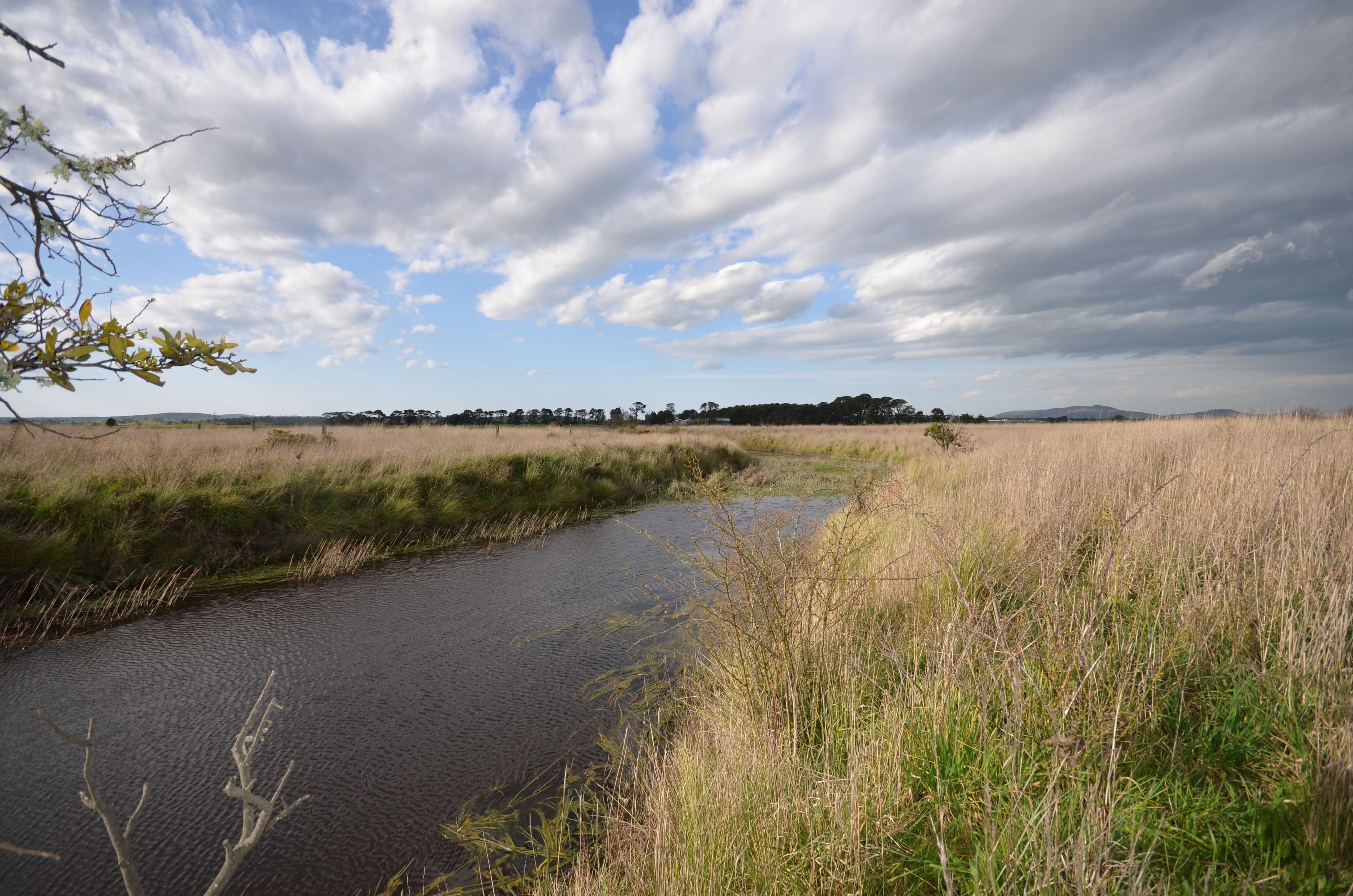 CA 24 Trawalla - Waterloo Road, TRAWALLA  Victoria  3373, Australia, Trawalla - Image 1