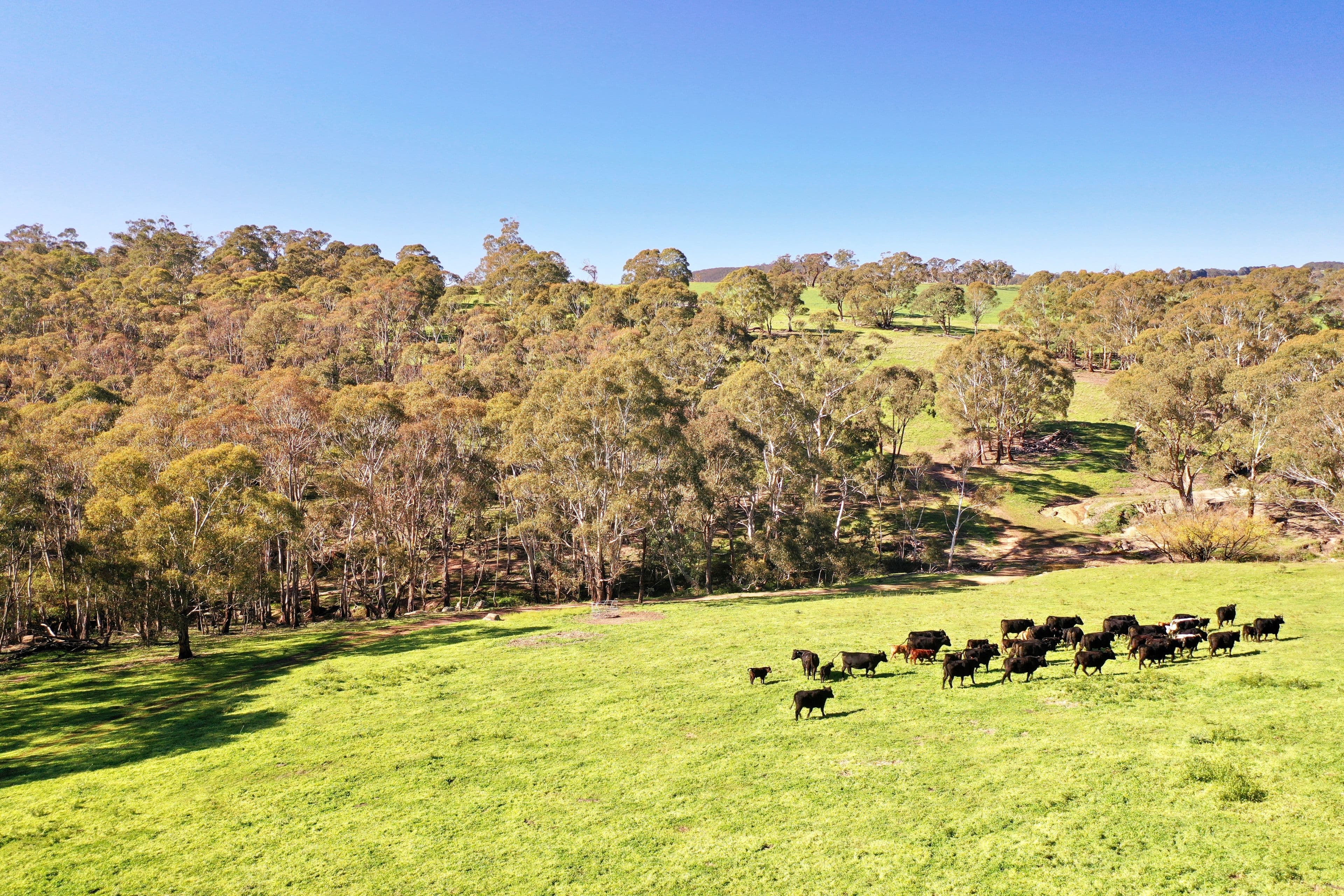 394 Mount Olive Road, Oberon NSW 2787, Oberon - Thumbnail 7