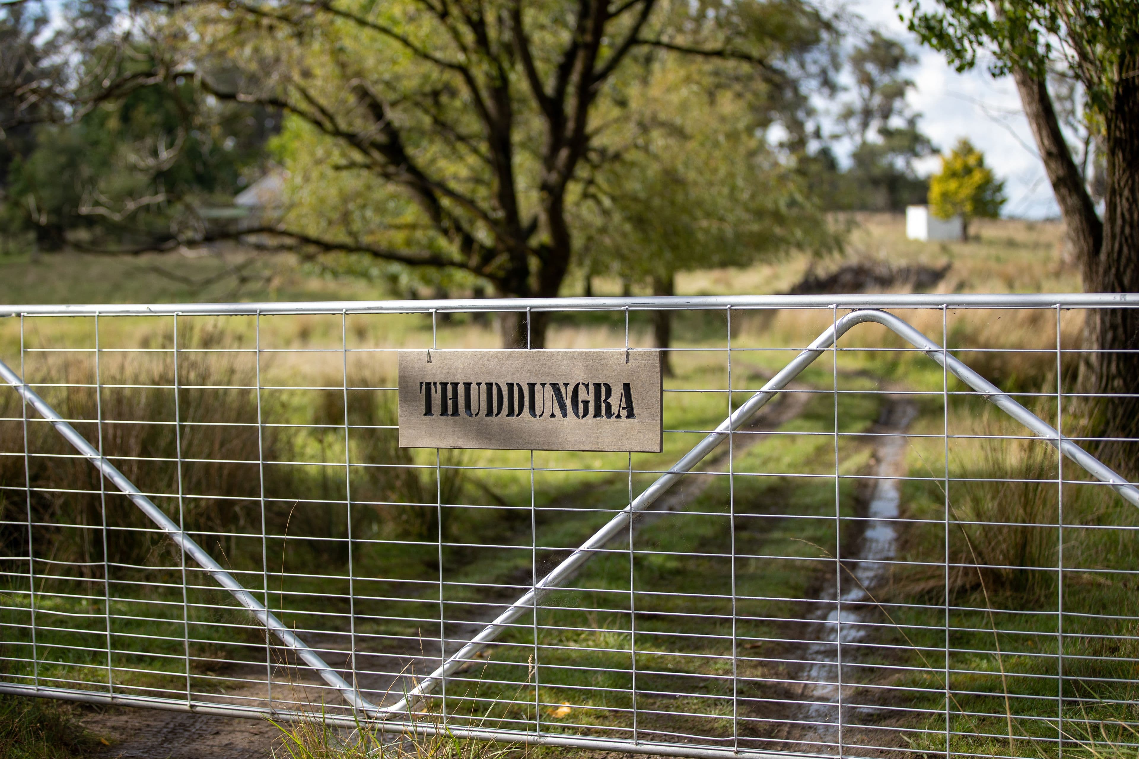 488 Guyra Road, Ebor NSW 2453, Ebor - Thumbnail 5
