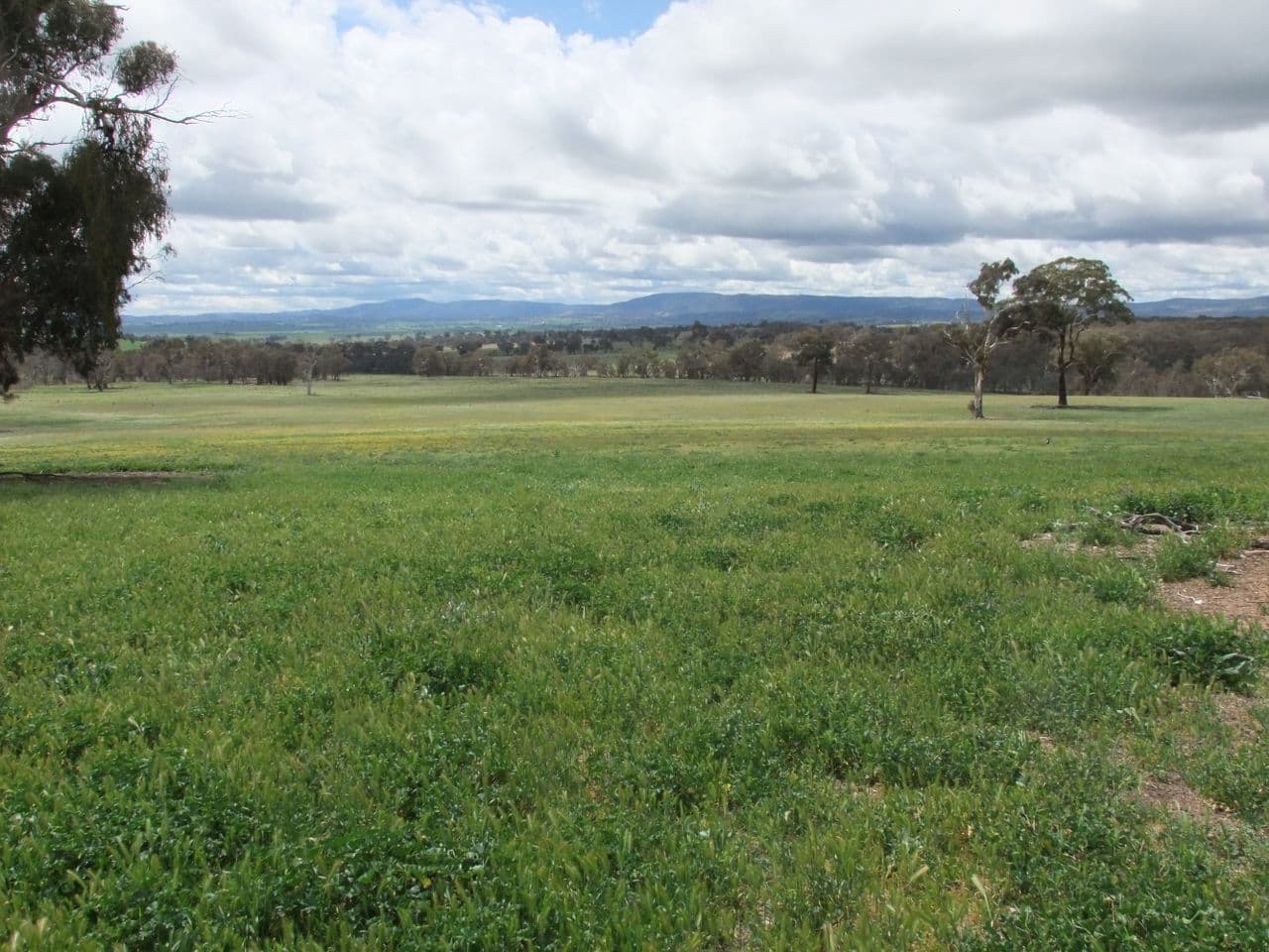 714 O'connell Plains Road, The Lagoon NSW 2795, The Lagoon - Thumbnail 8