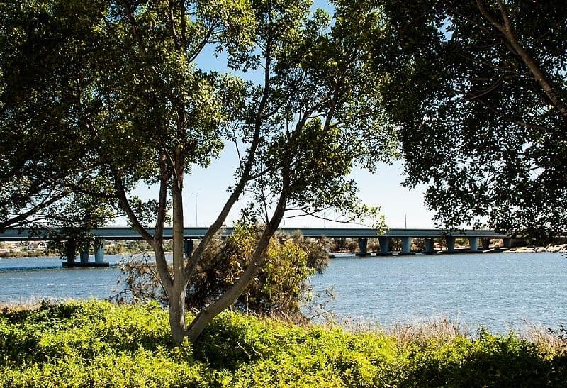 1/40 Victory Terrace, East Perth WA 6004, East Perth - Thumbnail 8