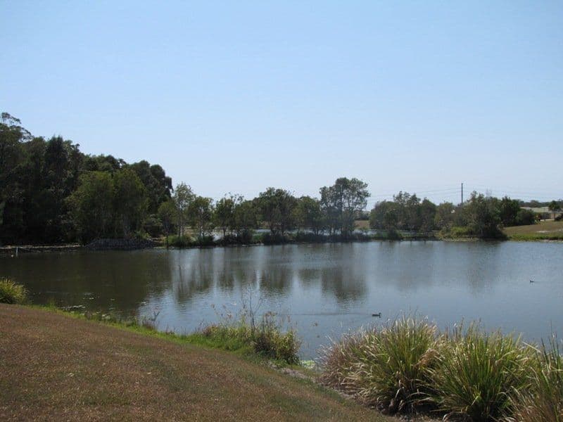 14 Albany Street, Sippy Downs QLD 4556, Sippy Downs - Thumbnail 5
