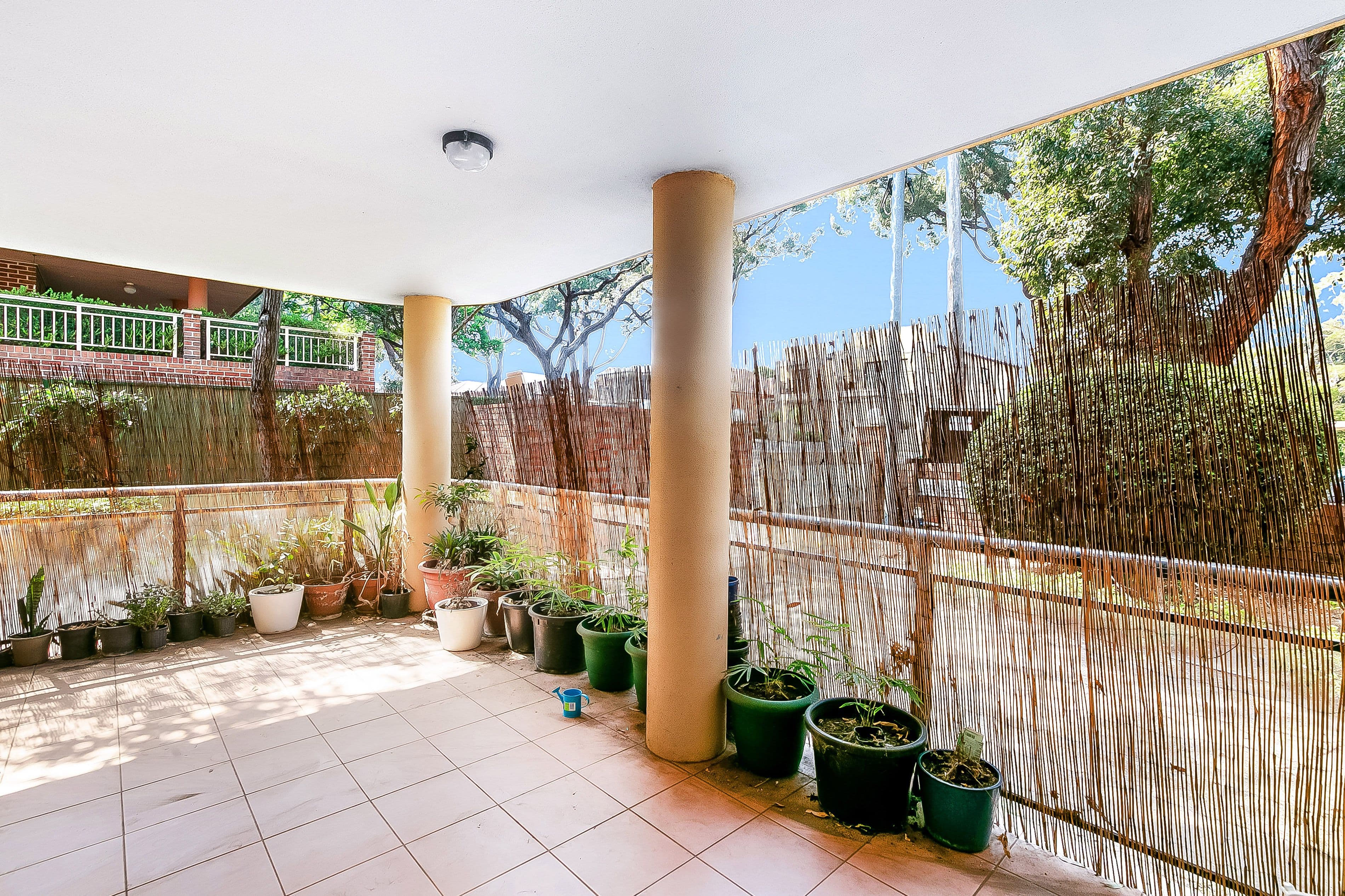 6 Cairns Street, Riverwood NSW 2210, Riverwood - Thumbnail 6
