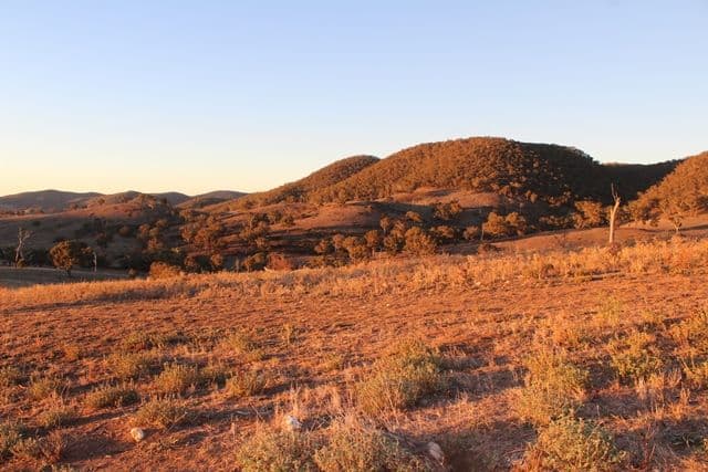 Lot 22 25 Todds Road, Wisemans Creek NSW 2795, Wisemans Creek - Thumbnail 4