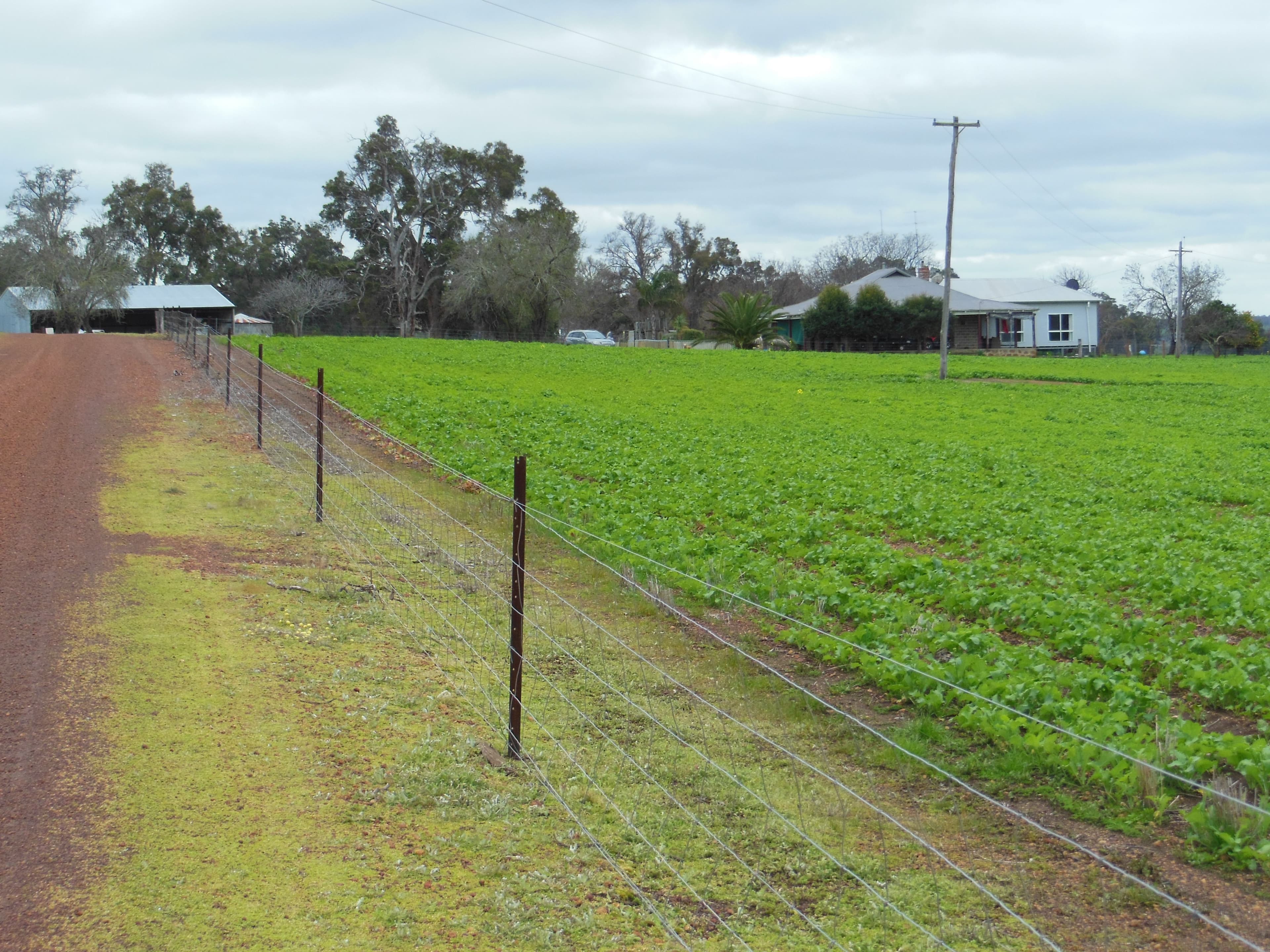 Avonlea Hall Road, Moodiarrup WA 6393, Moodiarrup - Thumbnail 5