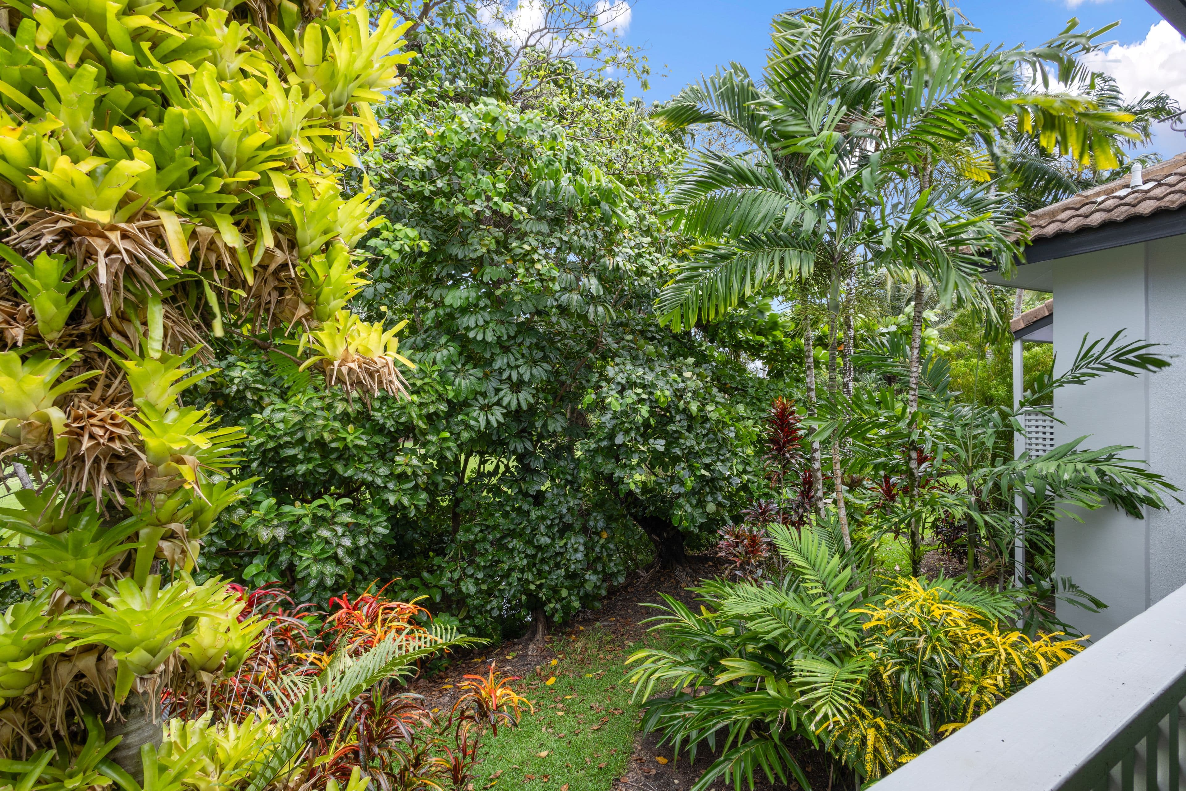 121-137 Port Douglas Road, Port Douglas QLD 4877, Port Douglas - Thumbnail 7
