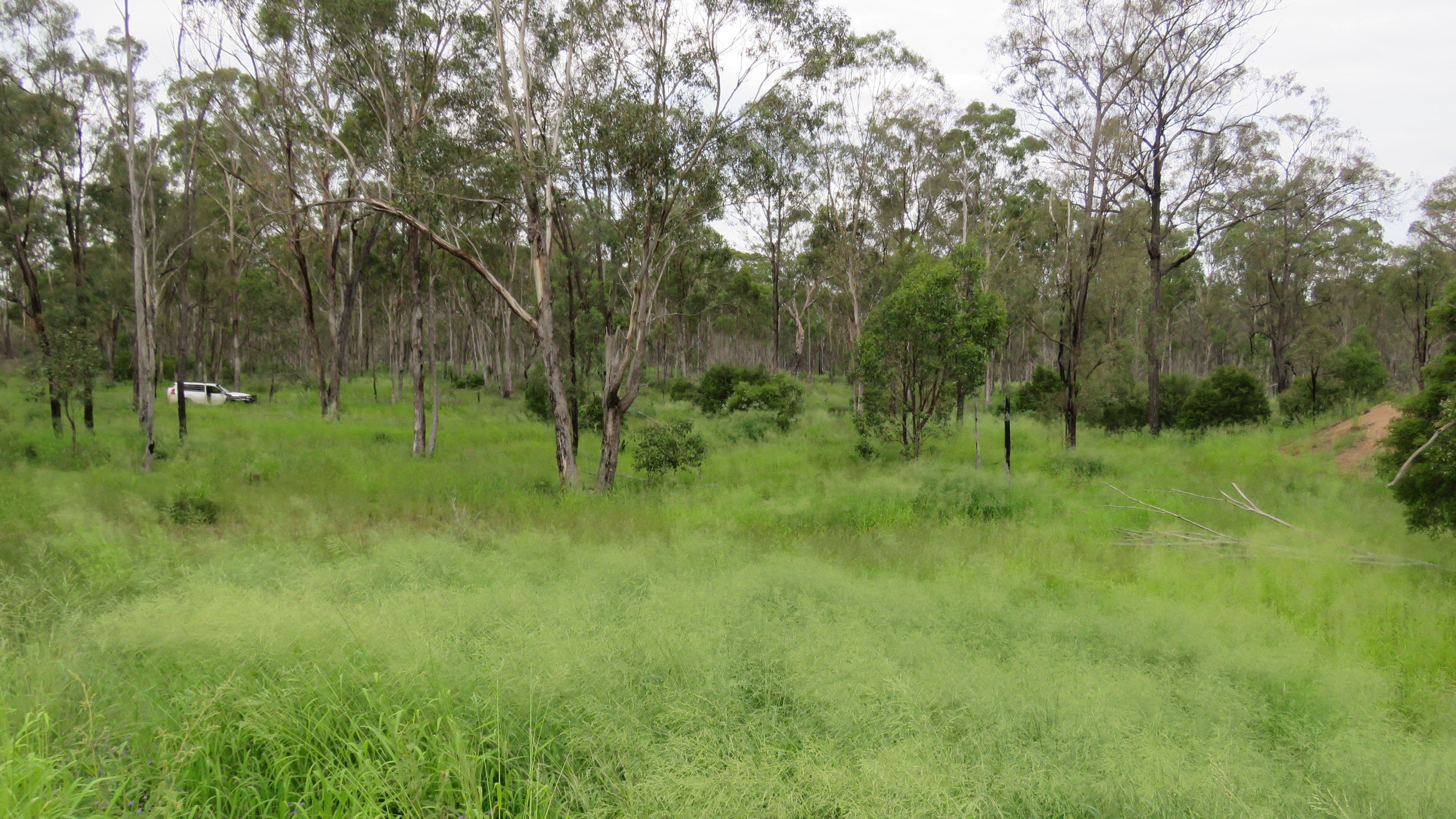 Lot 23 & 24 Proston Boondooma Road, Brigooda, Proston QLD 4613, Proston - Thumbnail 8
