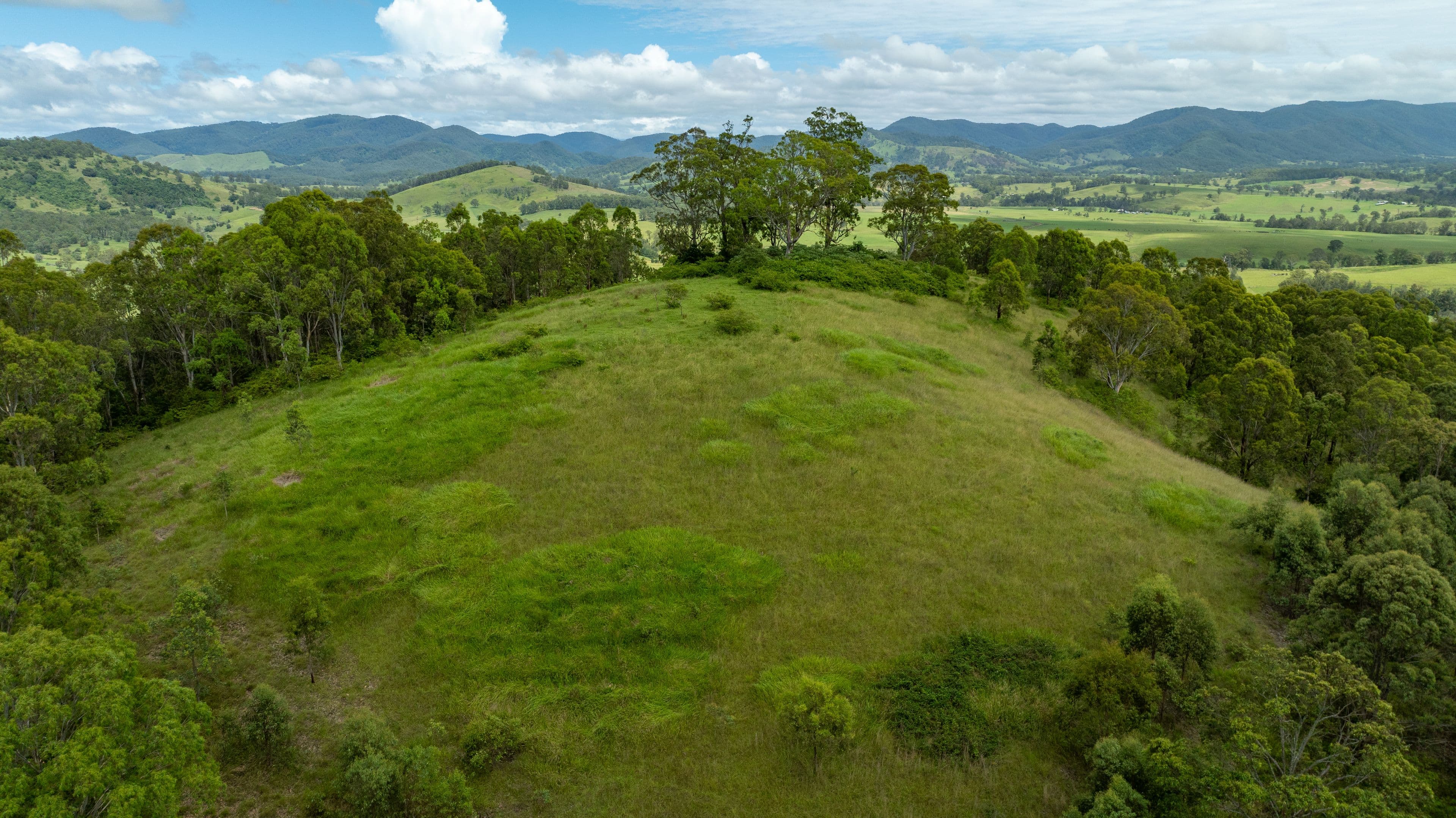 664 Bowman Farm Road, Bowman NSW 2422, Bowman - Thumbnail 8