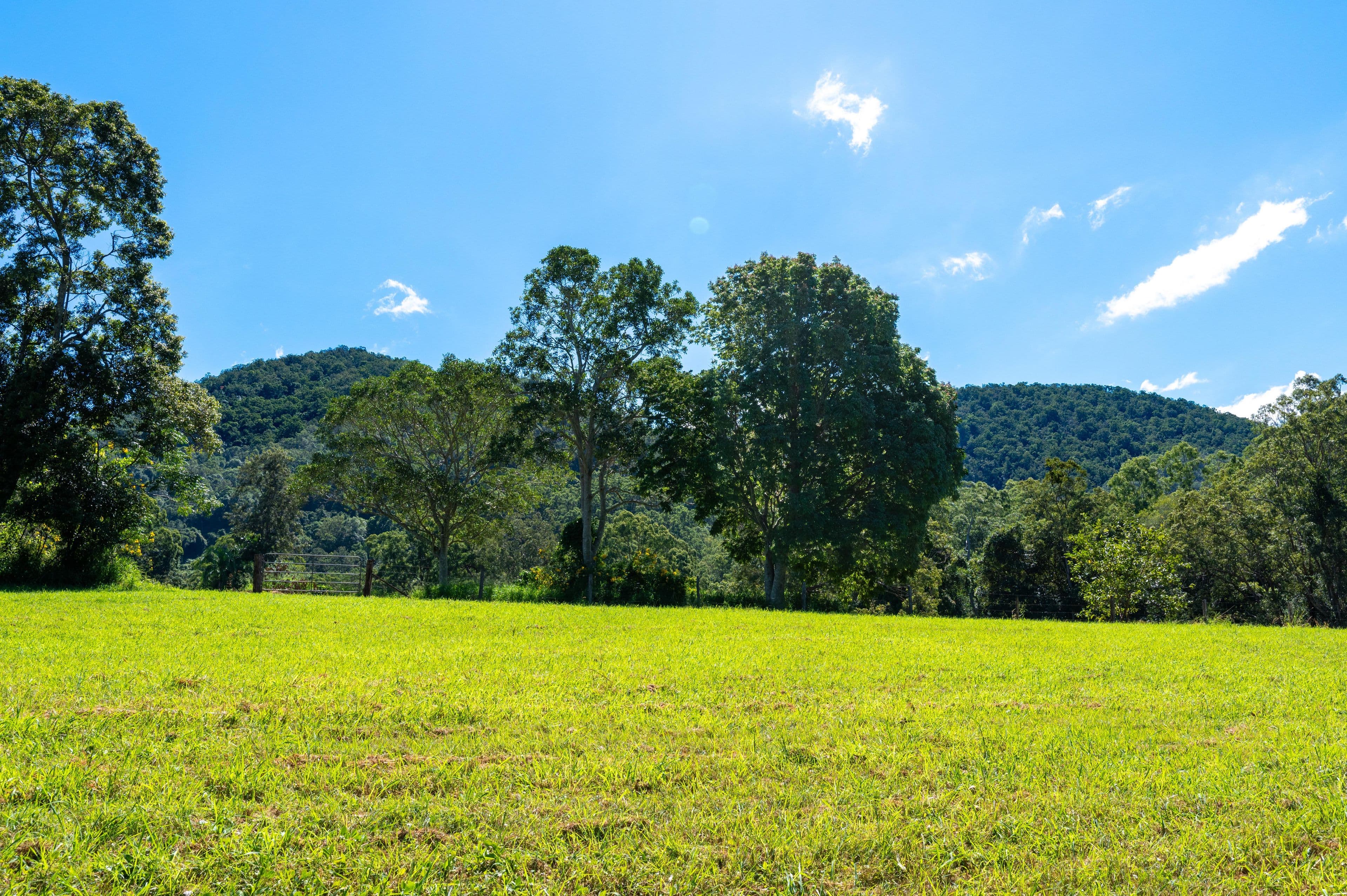 Lot 1 622 Cedar Creek Road, Cedar Creek QLD 4520, Cedar Creek - Thumbnail 2