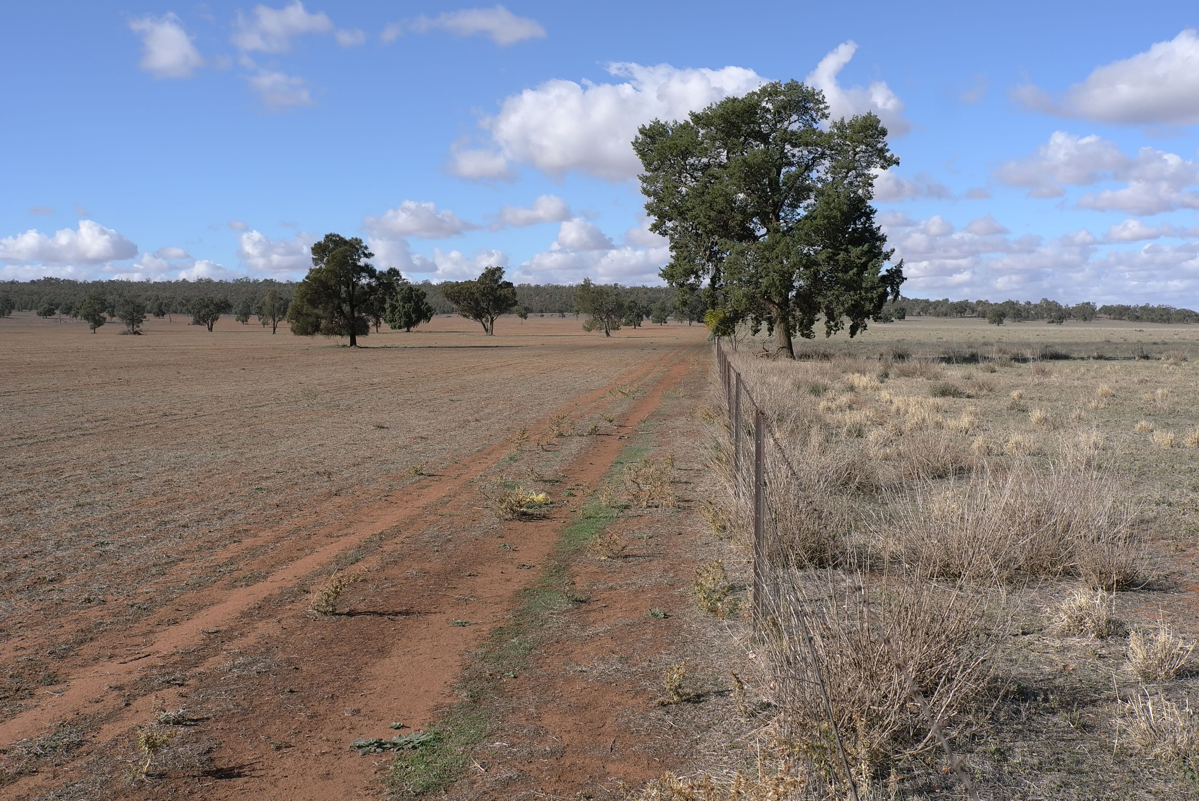 Narrandera NSW 2700, Narrandera - Thumbnail 8