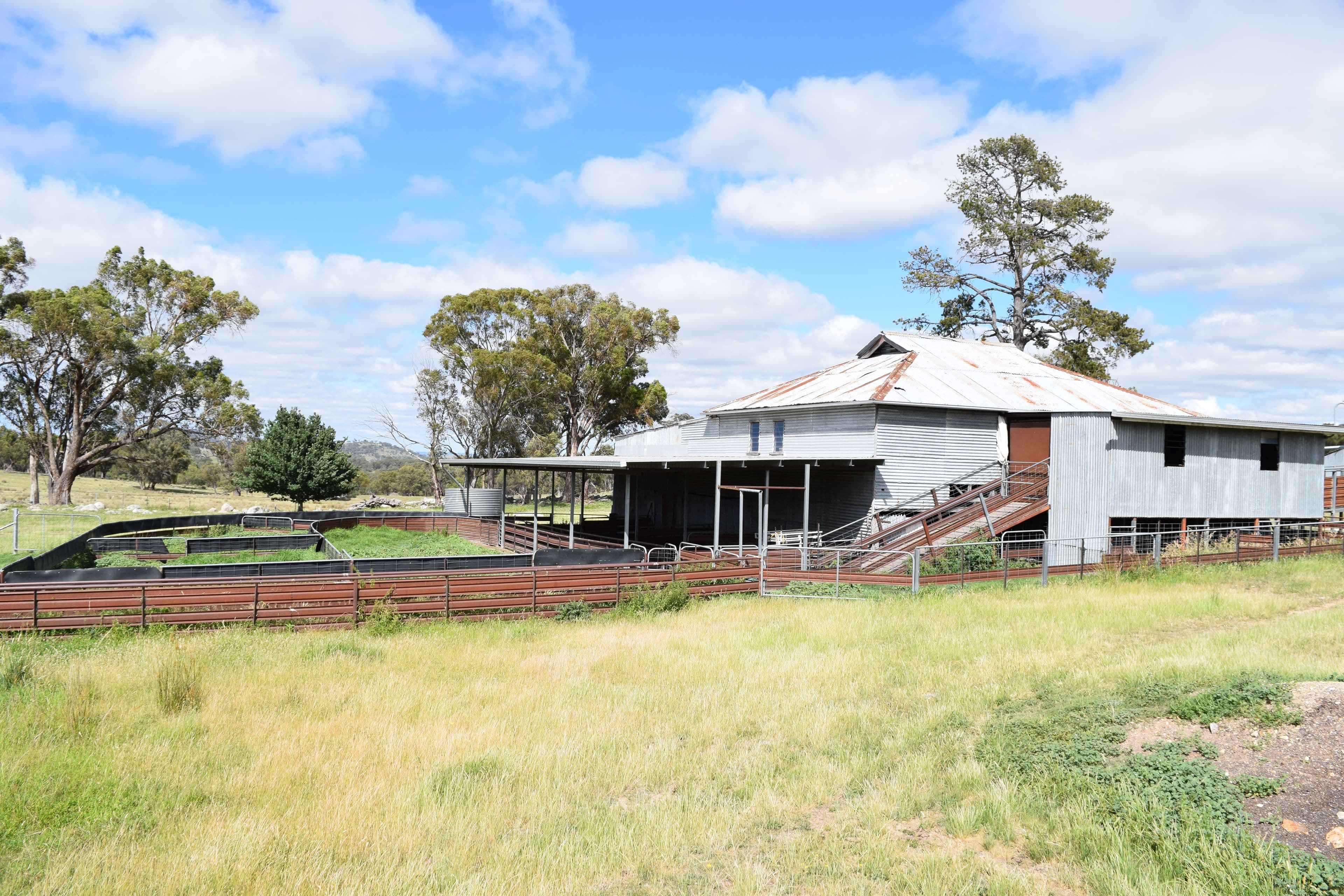 2201 Longford Road, Guyra NSW 2365, Guyra - Thumbnail 3