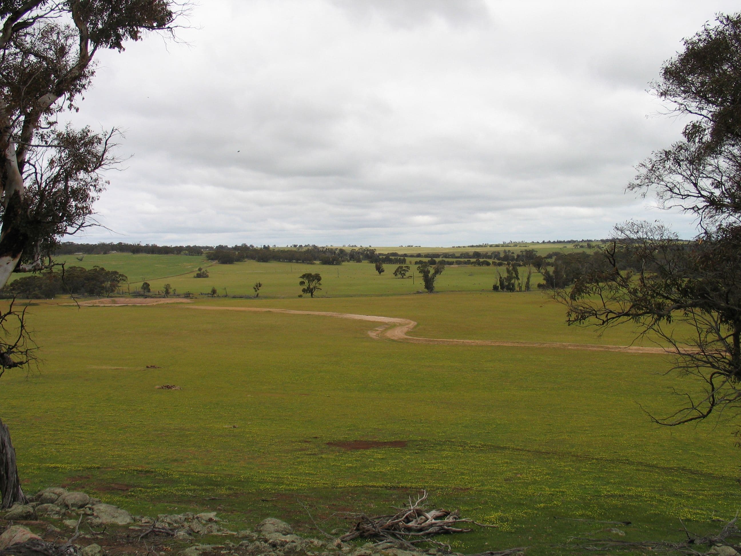 Browns Clarke Road, Coalfields Highway, Arthur River WA 6315, Arthur River - Image 1