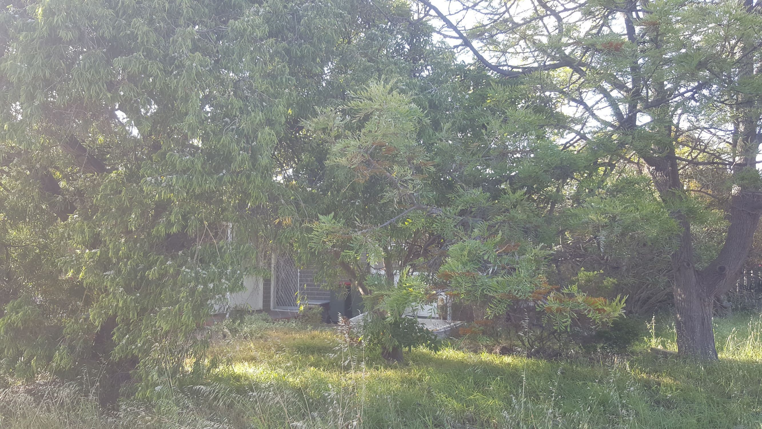 22 William Road, Christies Beach SA 5165, Christies Beach - Thumbnail 3