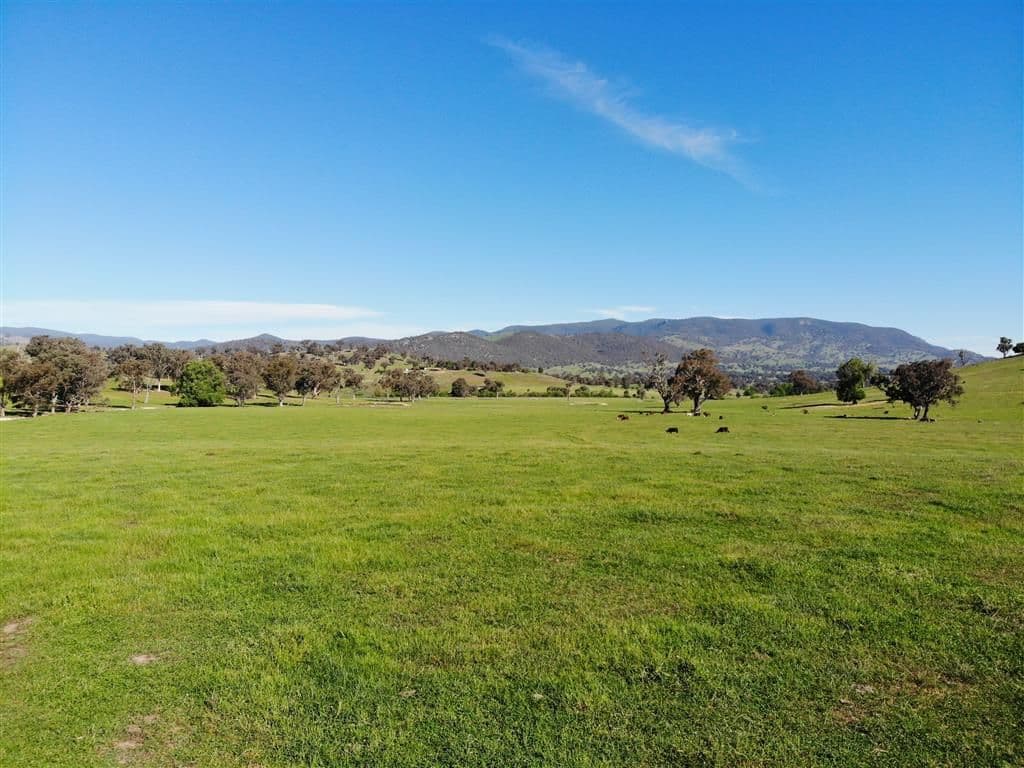 "San Quentin" Lacmalac Road, Tumut NSW 2720, Tumut - Thumbnail 5