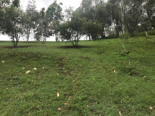 63 Blacks Road, Willow Vale QLD 4209, Willow Vale - Thumbnail 7