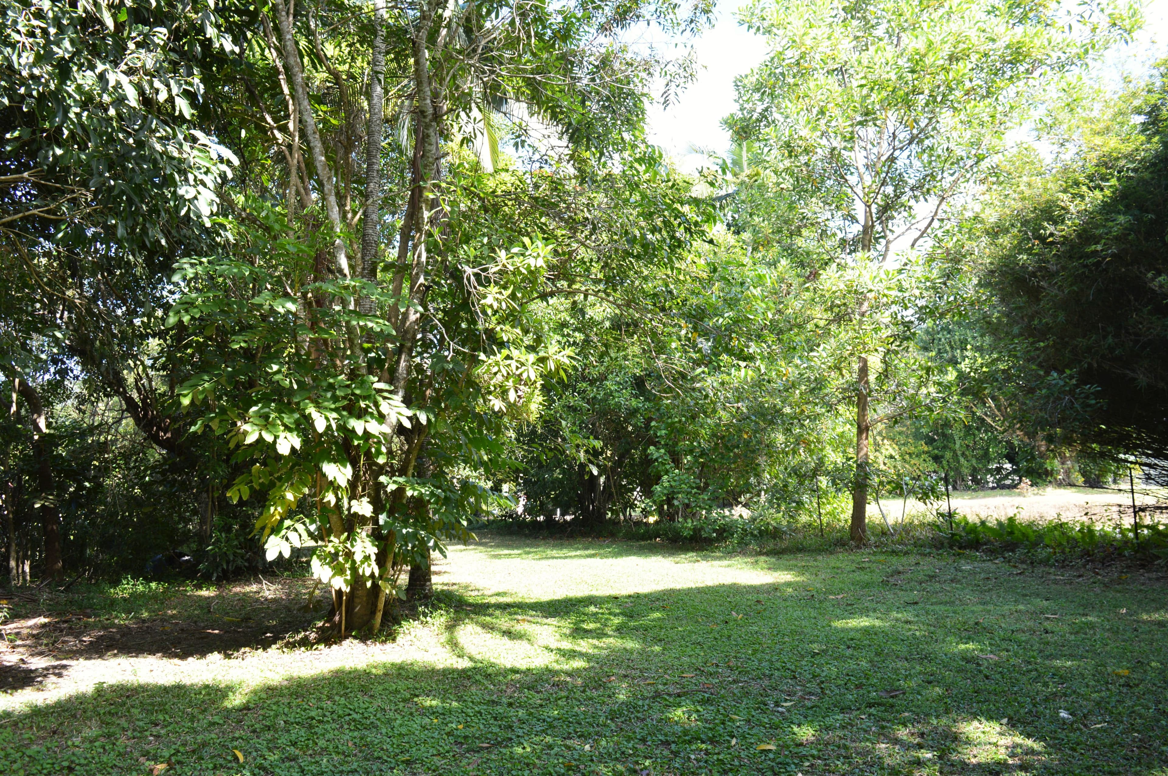 47 Bingil Bay Road, Bingil Bay QLD 4852, Bingil Bay - Thumbnail 6
