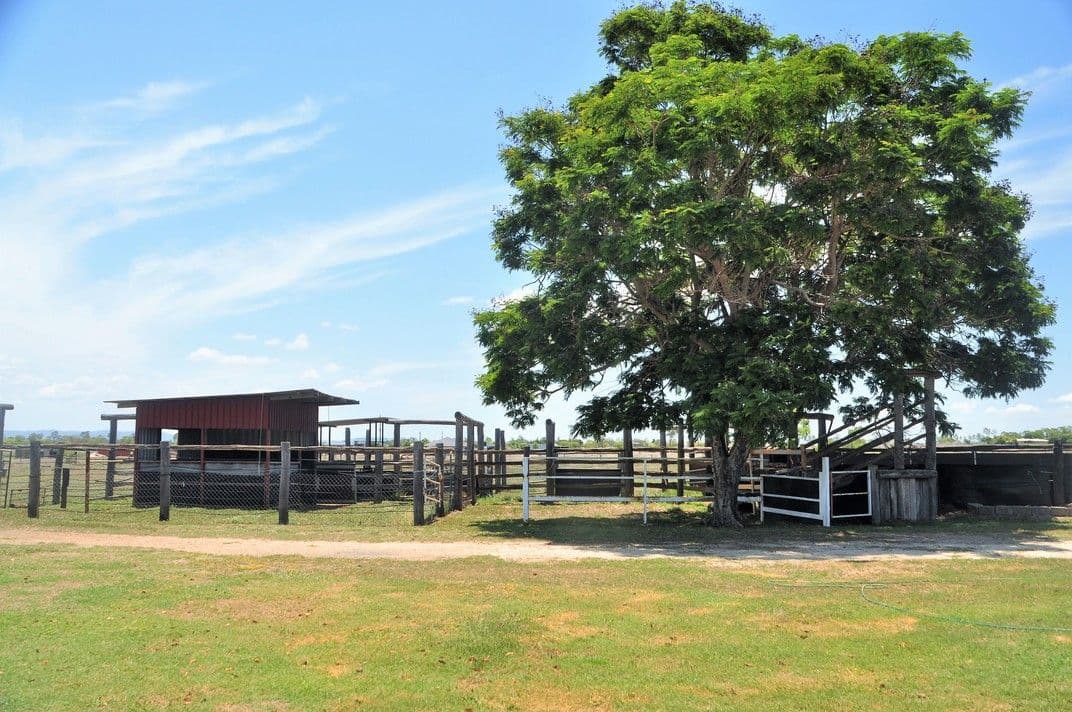 1149 Rockhampton Ridgelands Road, Alton Downs QLD 4702, Alton Downs - Thumbnail 4