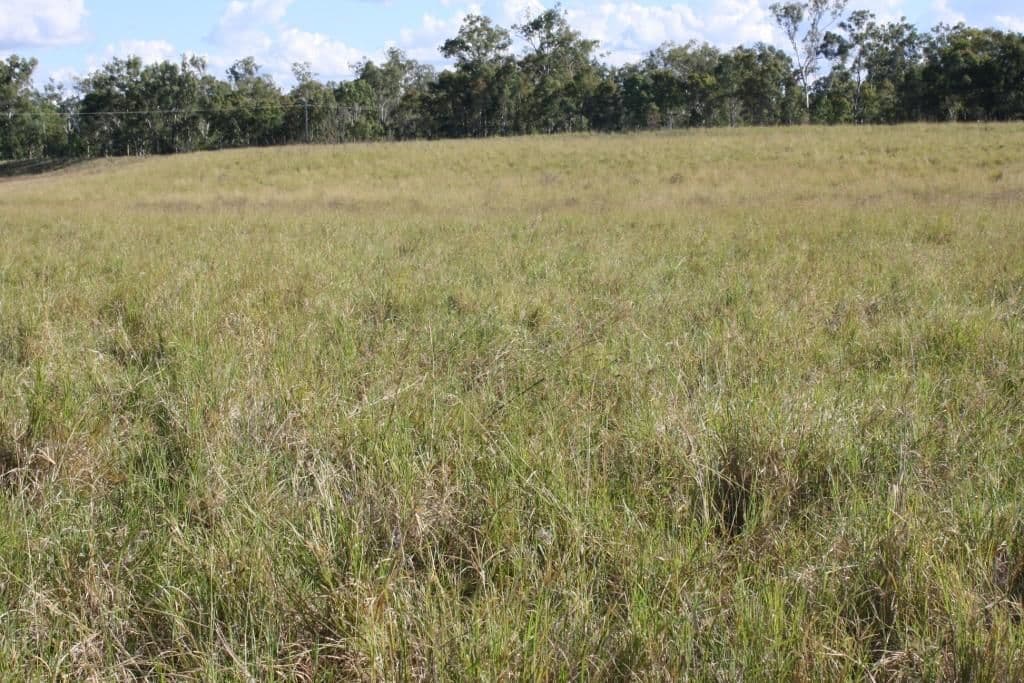 Lot 55 & 79 Burnett Highway, Eidsvold QLD 4627, Eidsvold - Thumbnail 4