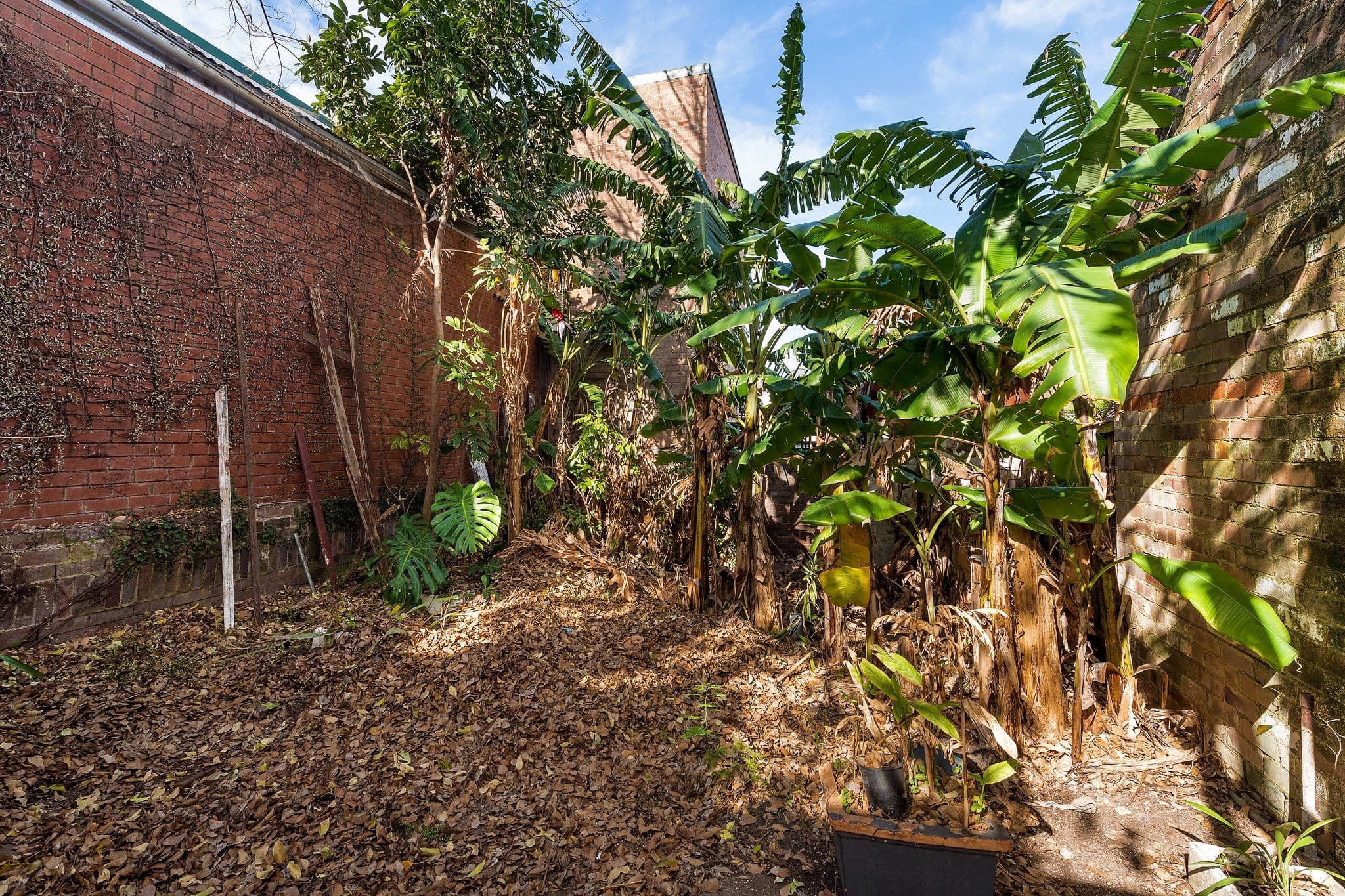 130 Marion Street, Leichhardt NSW 2040, Leichhardt - Thumbnail 5