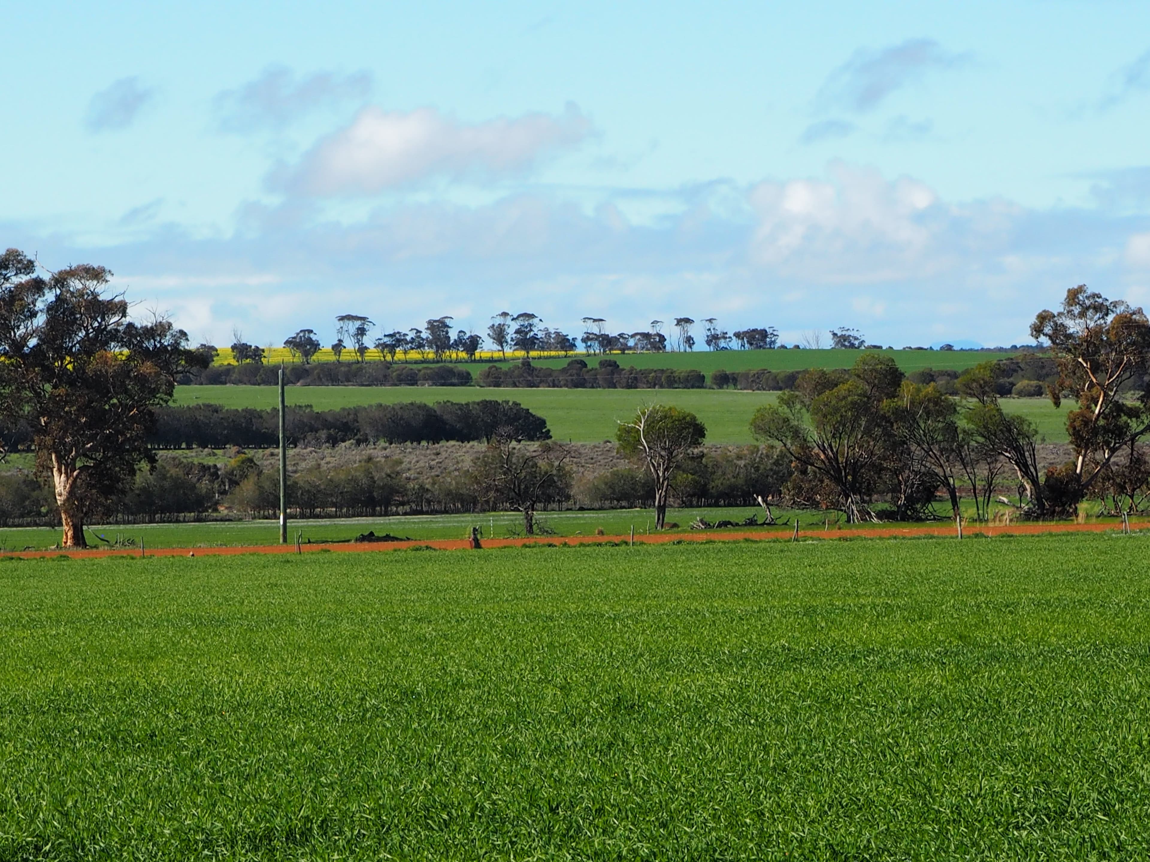 Somerset 359 Jam Creek Road, Tambellup WA 6320, Tambellup - Thumbnail 4