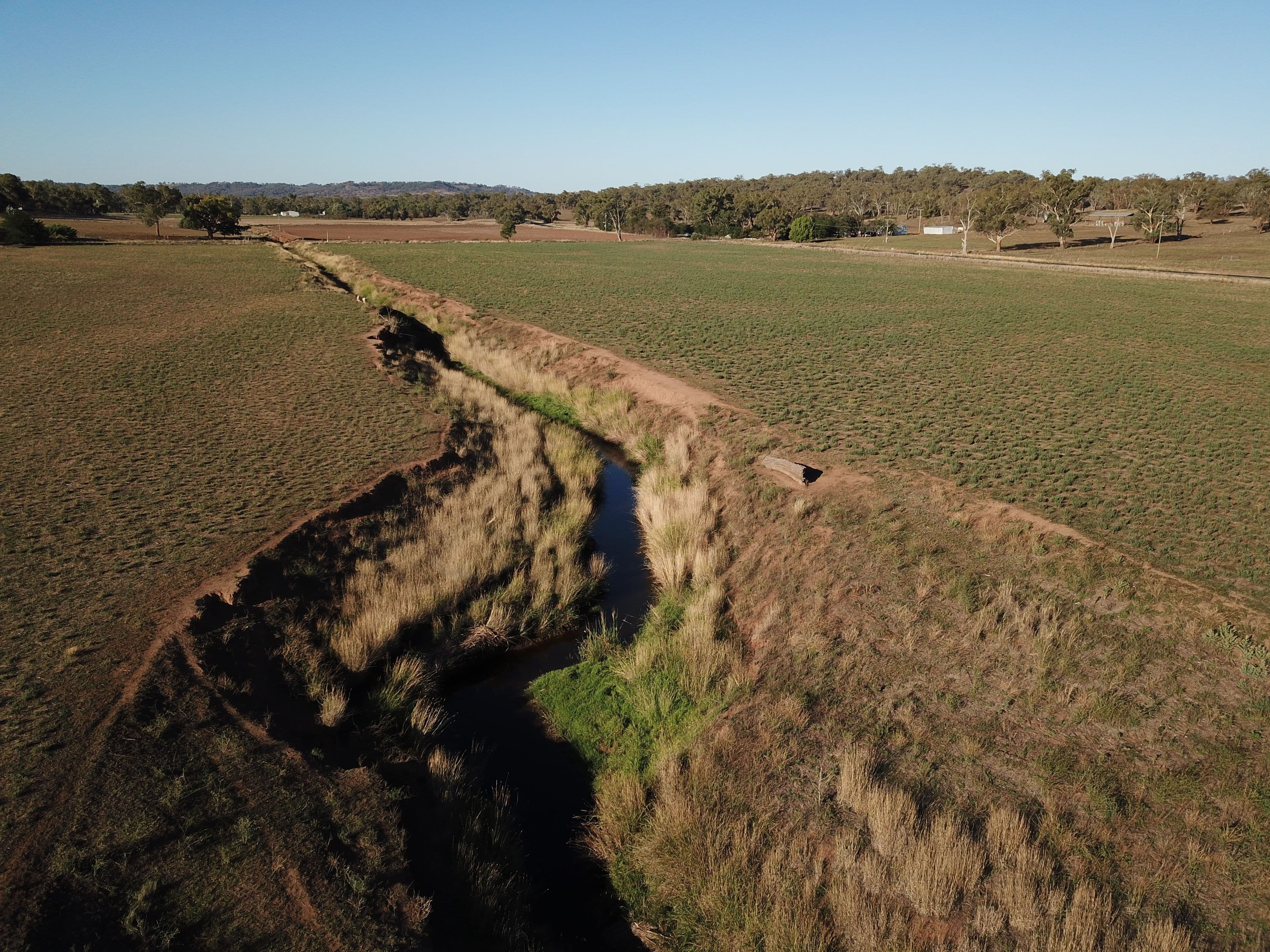 'Avalon' 115 Glenowen Road, Bakers Swamp NSW 2820, Bakers Swamp - Thumbnail 3