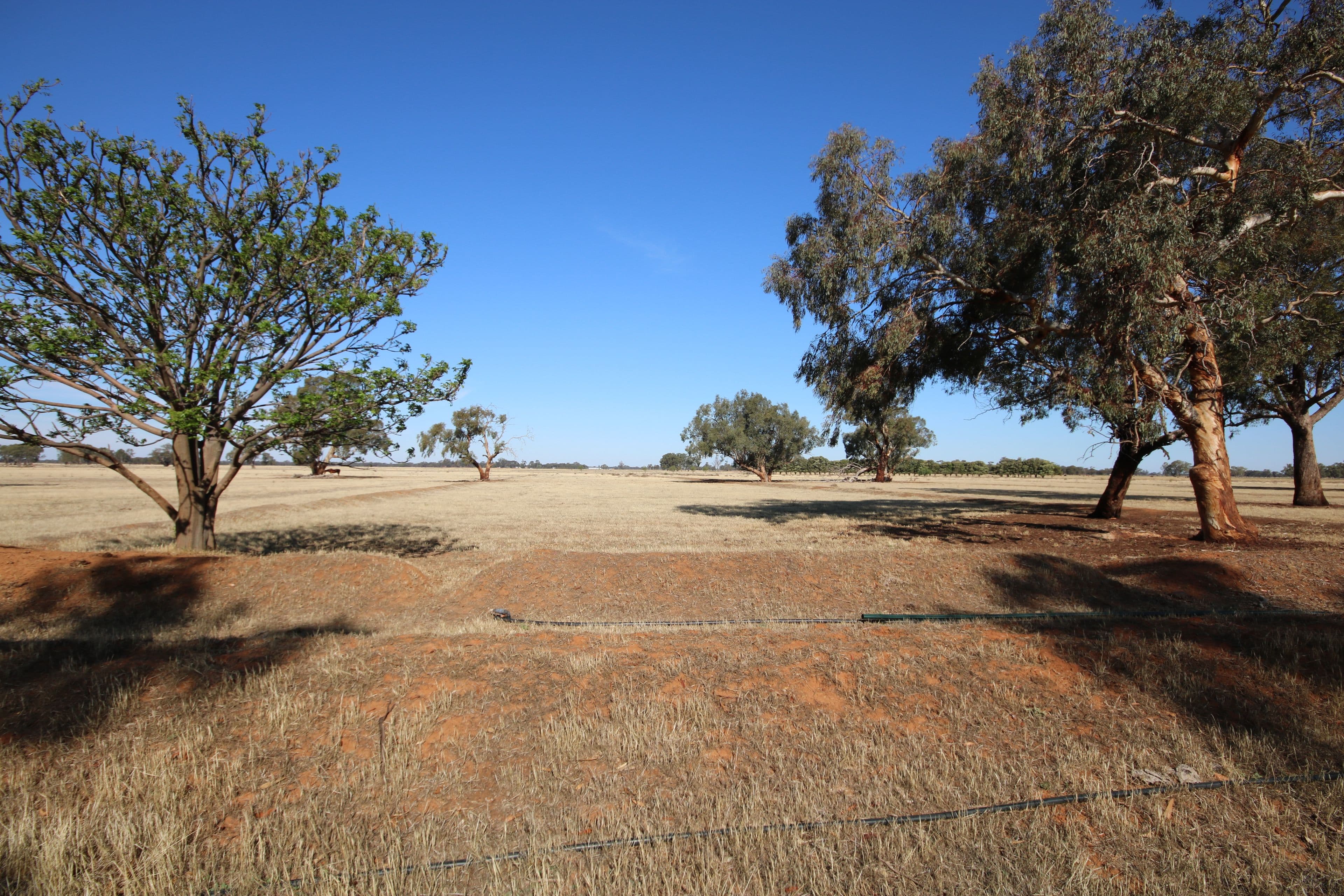 872 Dullard Road, Kotta VIC 3565, Kotta - Thumbnail 8