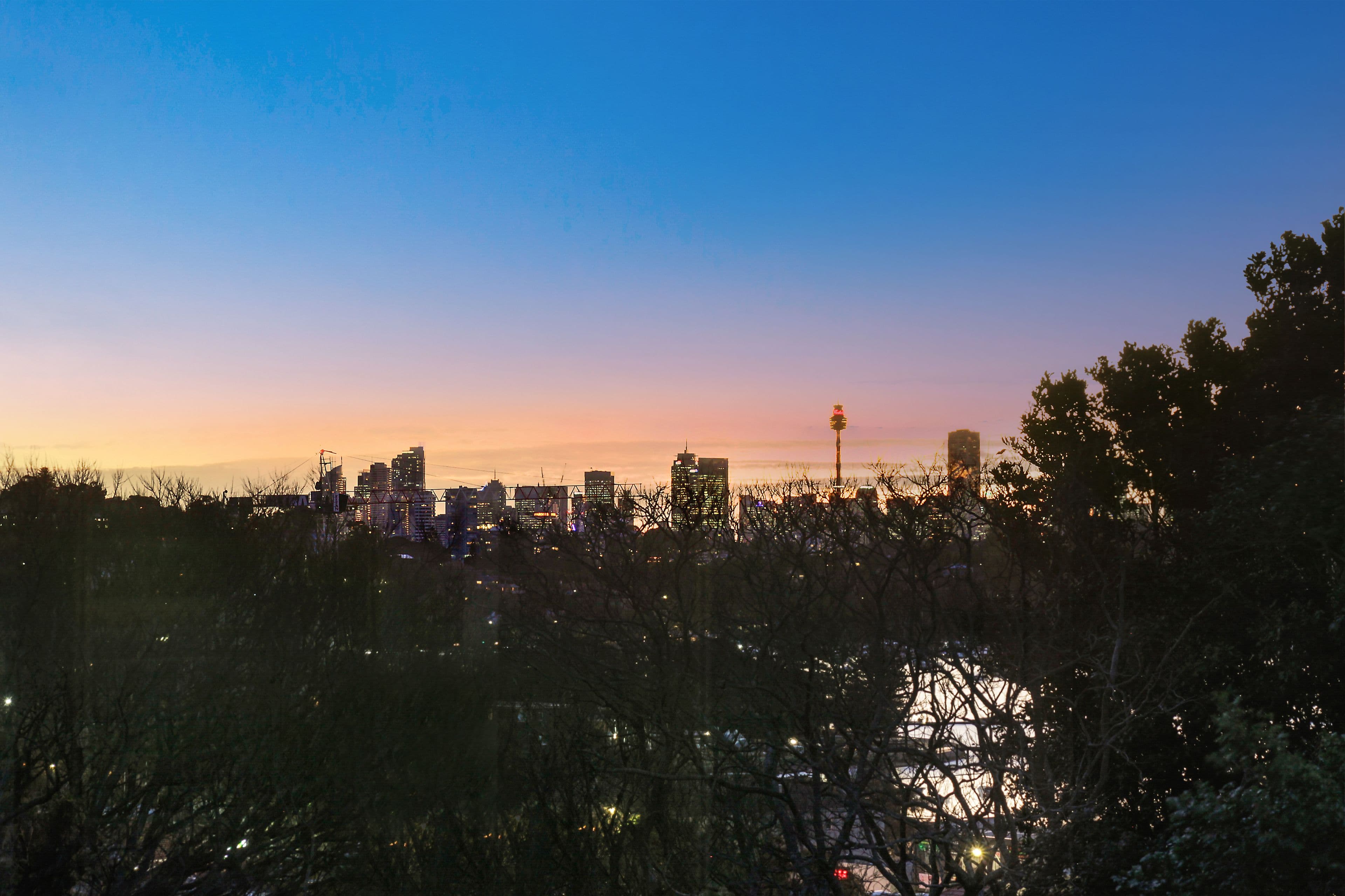 14 Carlisle Street, Rose Bay NSW 2029, Rose Bay - Thumbnail 3