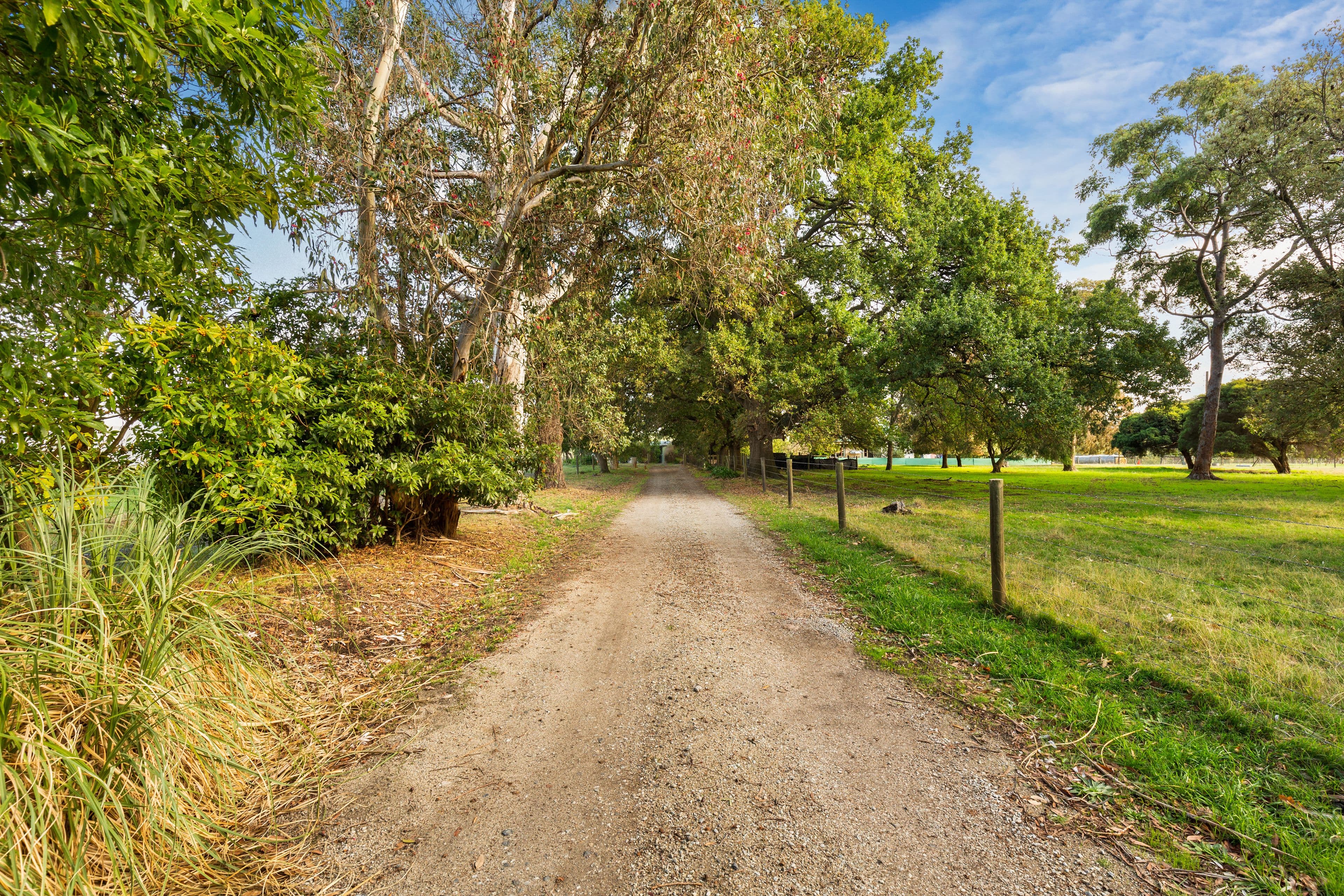 255 Pryor Road, Drouin VIC 3818, Drouin - Thumbnail 7