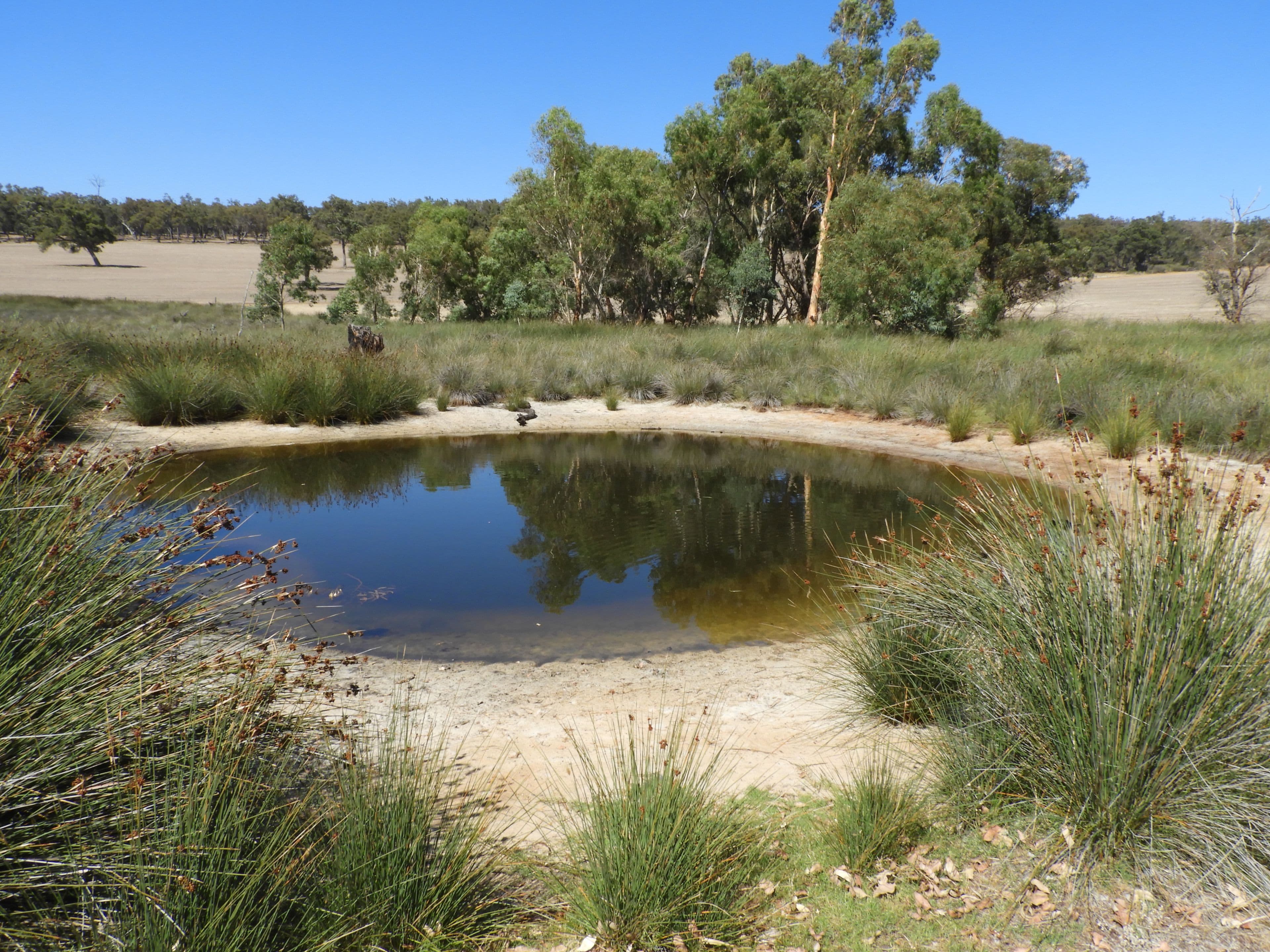 Sandrina Park, 7282 Albany Highway, Bannister WA 6390, North Bannister - Thumbnail 4