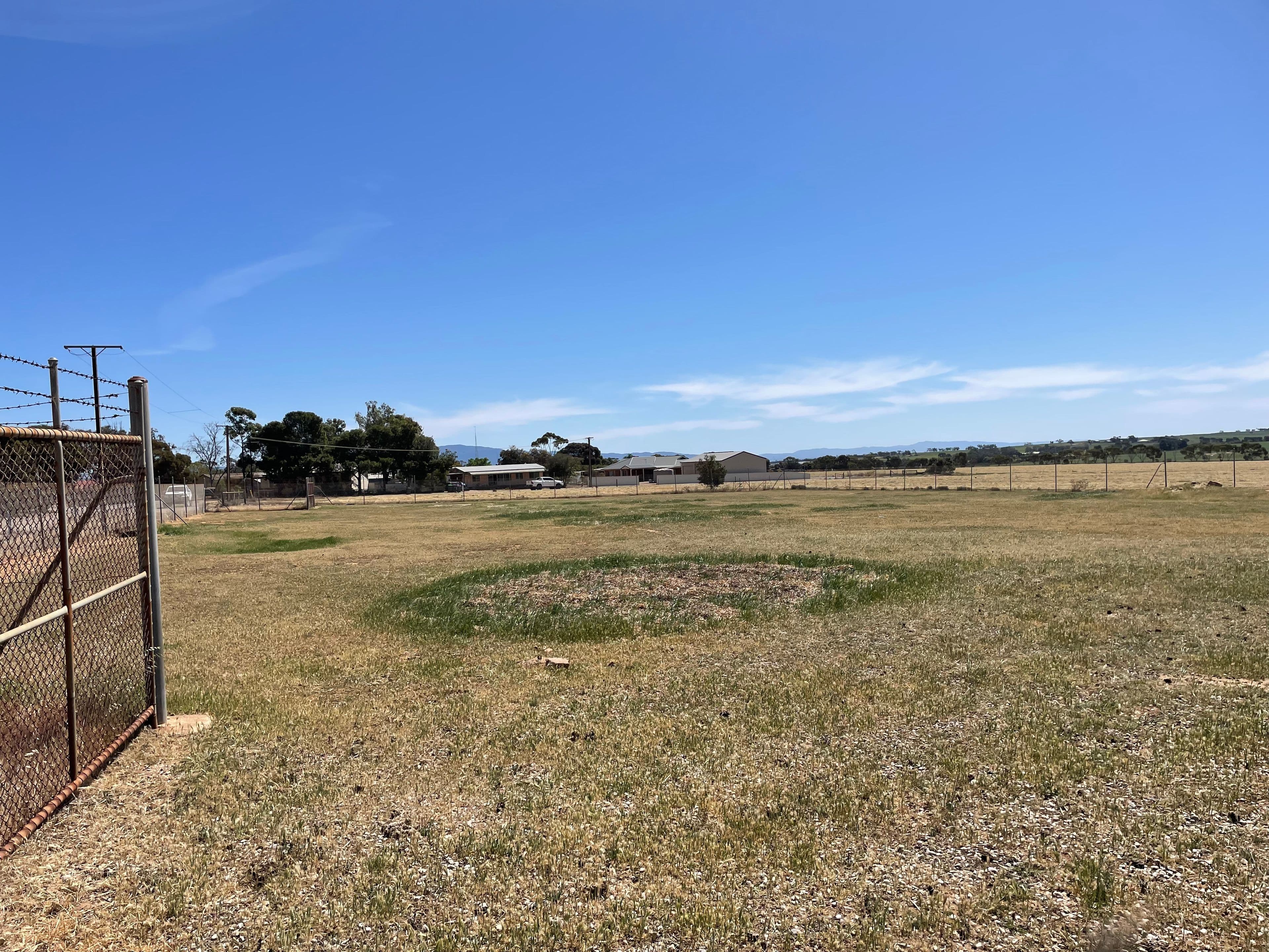 Lot 732 Arthur Street, Booleroo Centre SA 5482, Booleroo Centre - Thumbnail 4