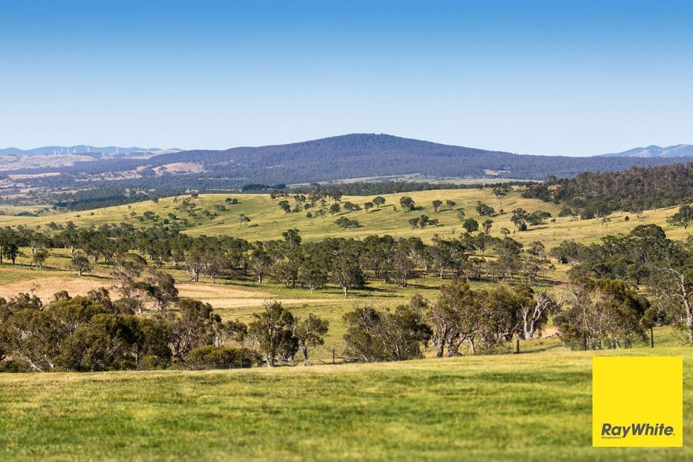 145 Butmaroo Road, Bungendore NSW 2621, Bungendore - Thumbnail 2