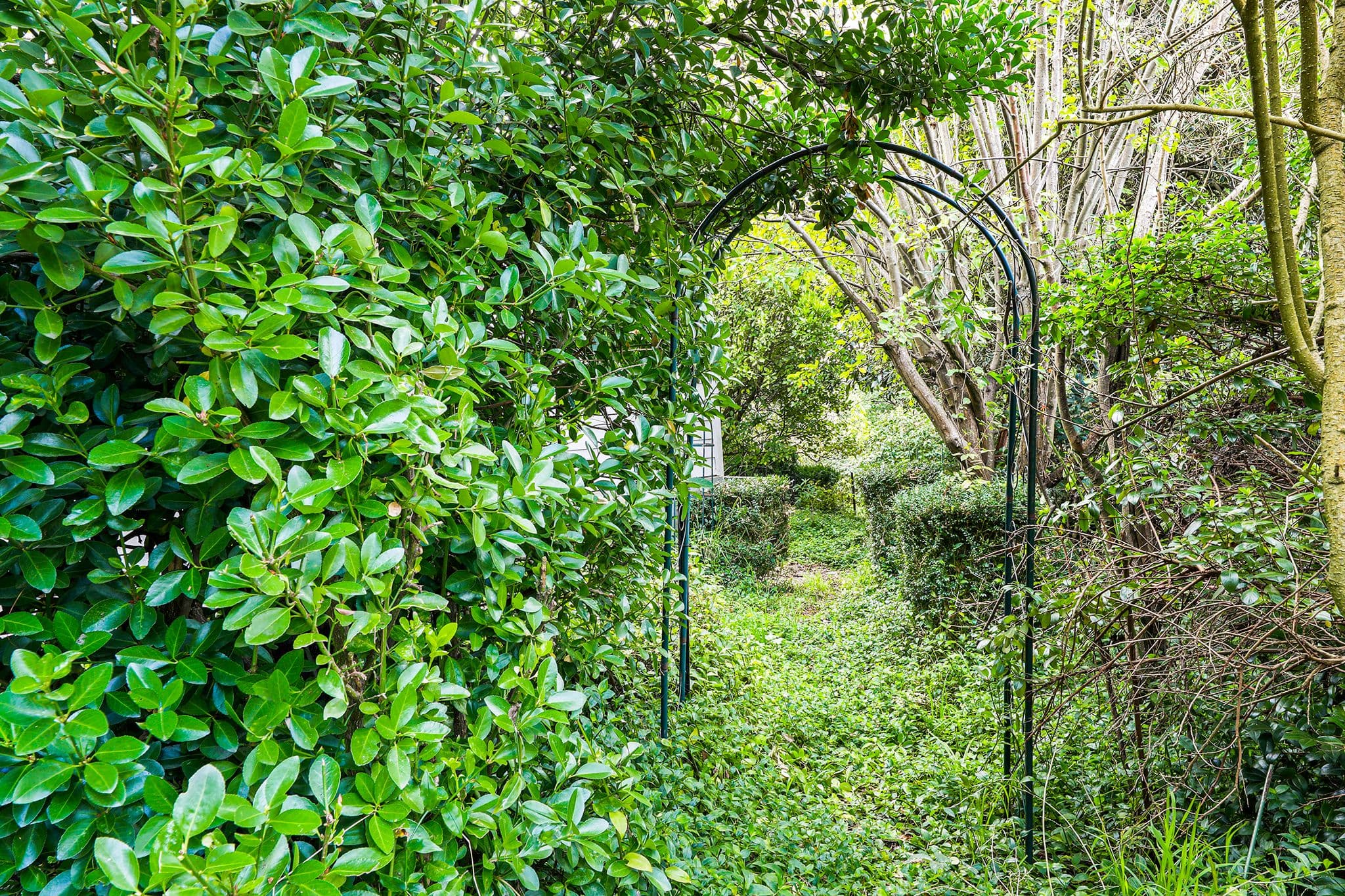 165 Old Sale Road, Drouin VIC 3818, Drouin - Thumbnail 8