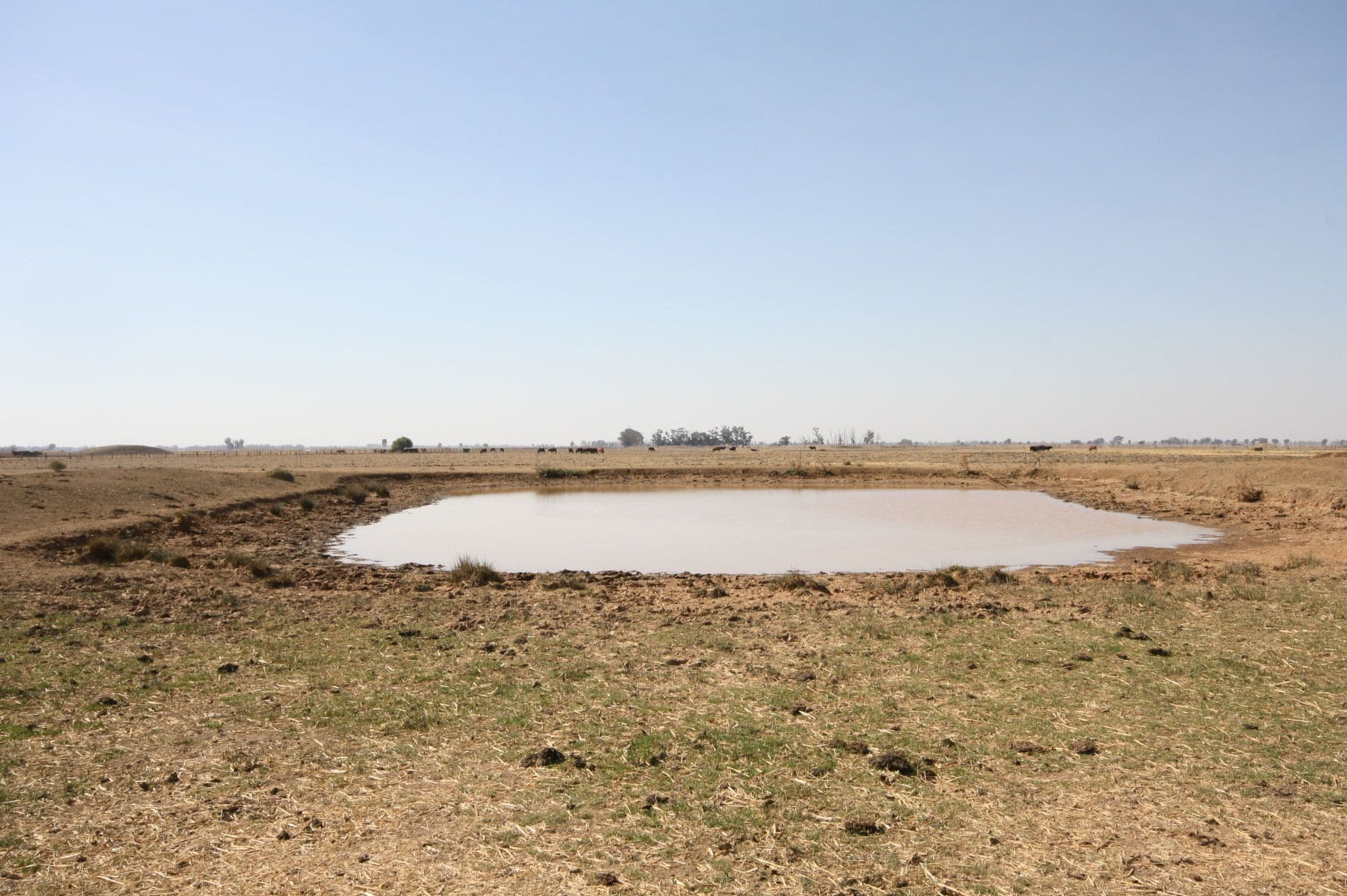 Lot 2 Thornton and Tehan Road, Koyuga VIC 3622, Koyuga - Thumbnail 4