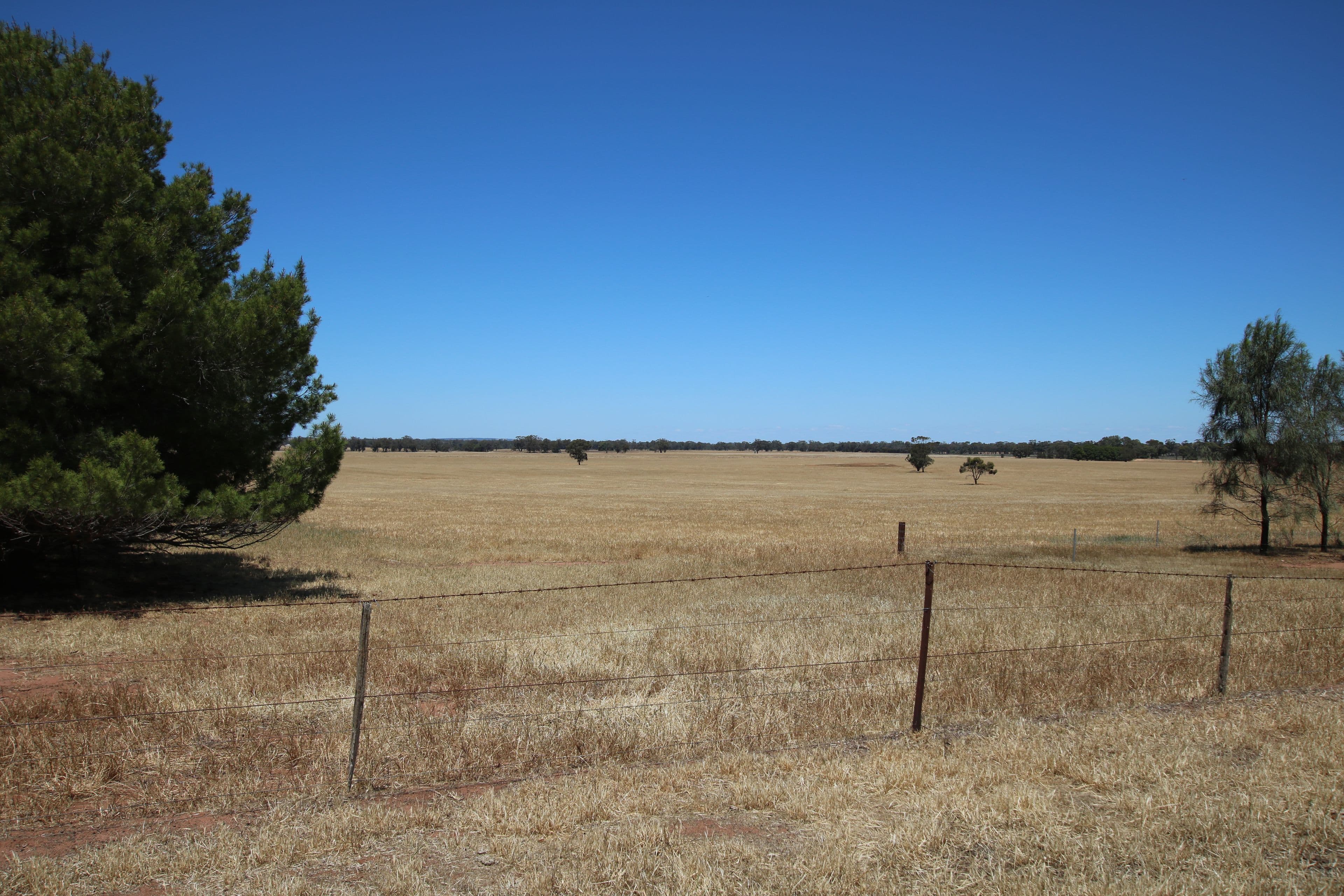 00 Seven Mile Road, Dooboobetic VIC 3478, Dooboobetic - Thumbnail 7