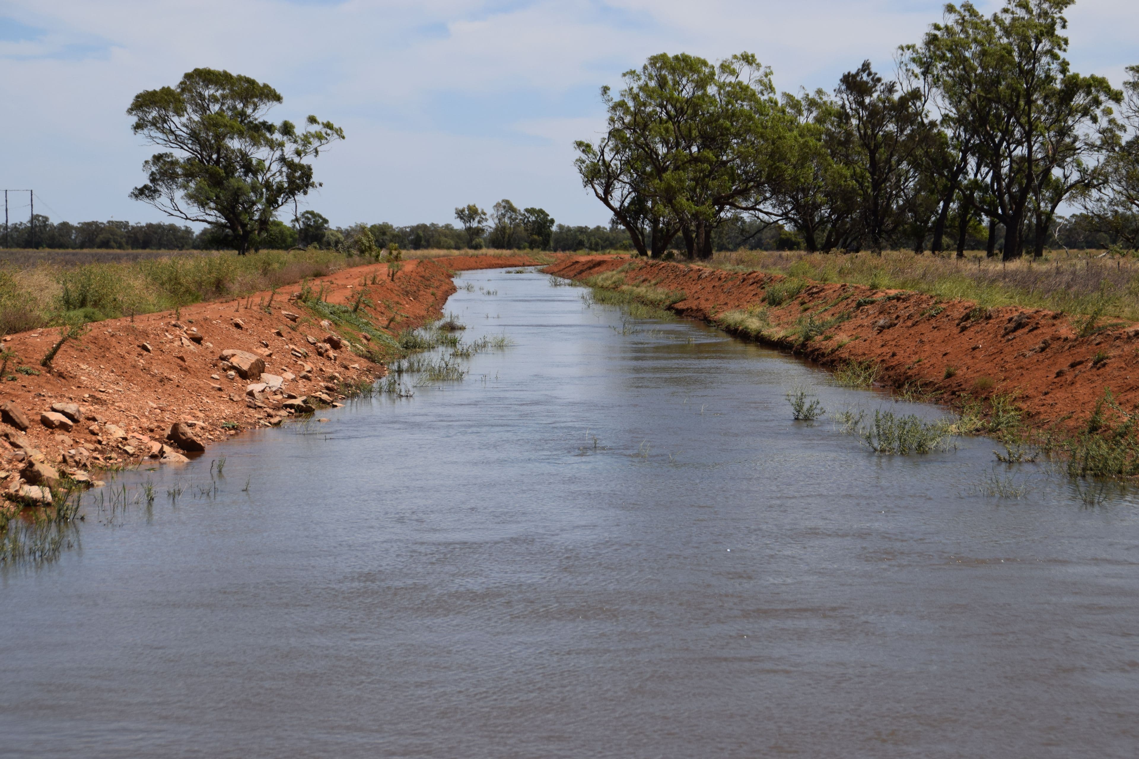 'Wooringa' 535 Ceres Siding Road, Narromine NSW 2821, Narromine - Thumbnail 2