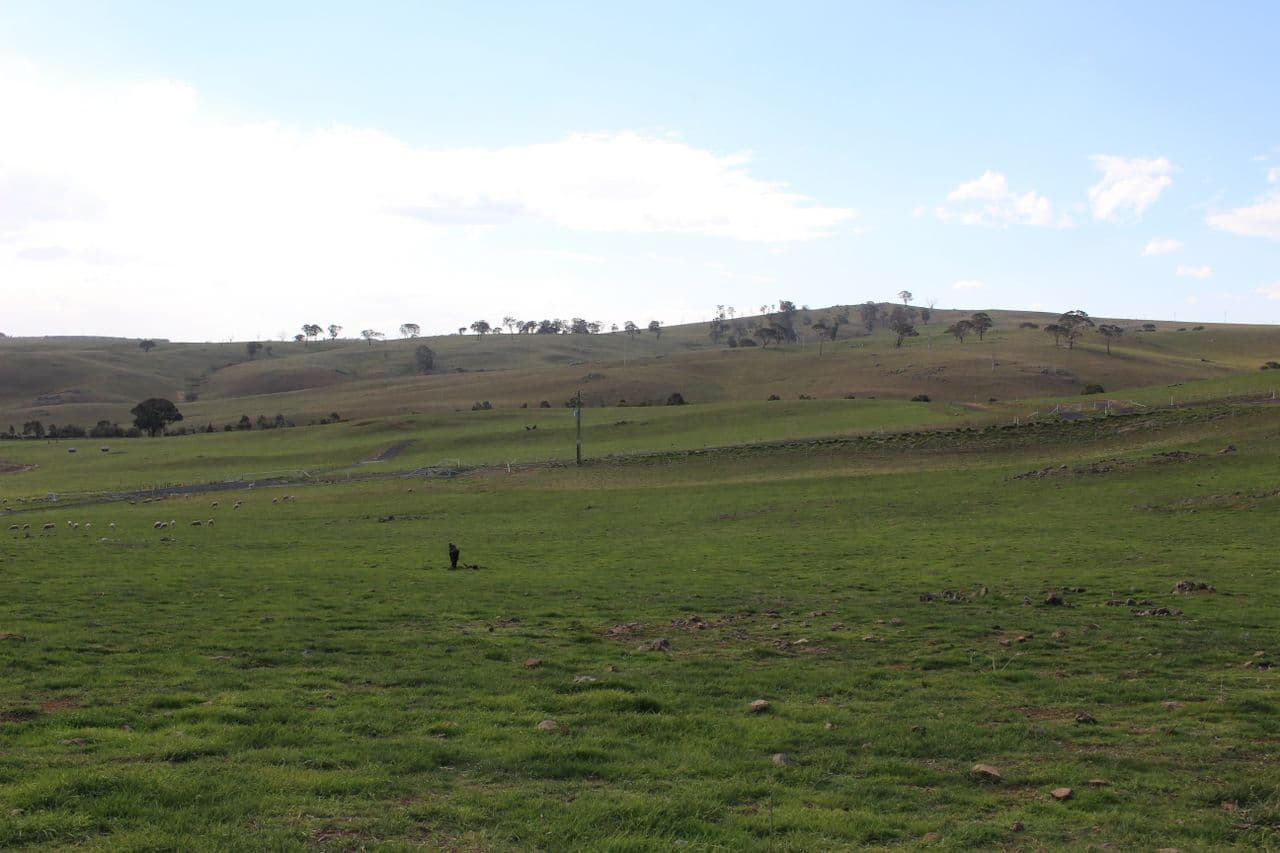 67 Pittman Drive, Browns Creek NSW 2799, Browns Creek - Thumbnail 4