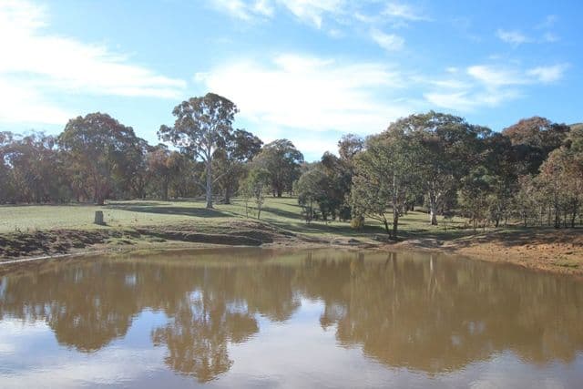 201 Gallymont Road, Mandurama NSW 2792, Mandurama - Thumbnail 7