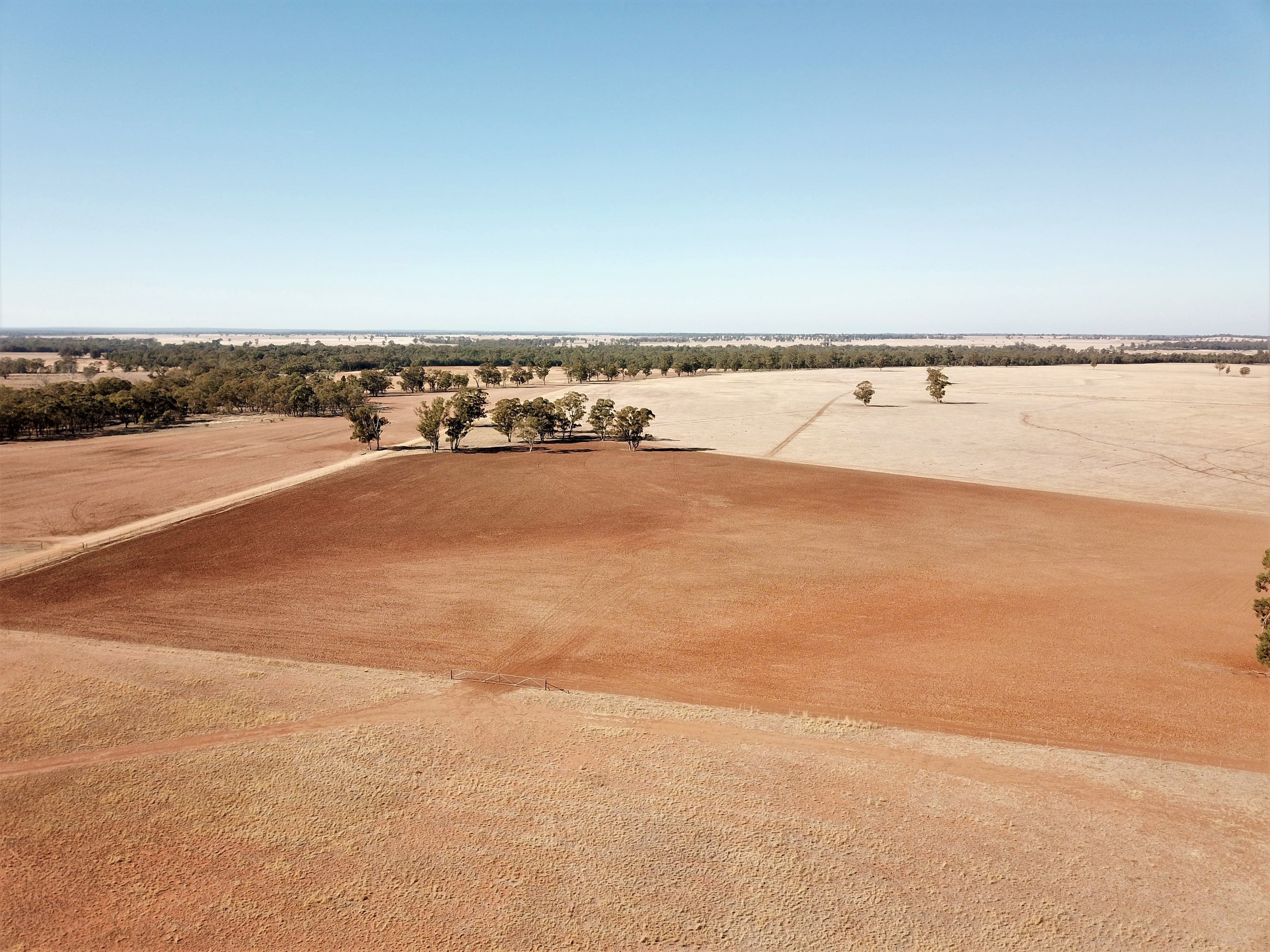'Balgowan' Newell Highway, Dubbo NSW 2830, Dubbo - Thumbnail 6