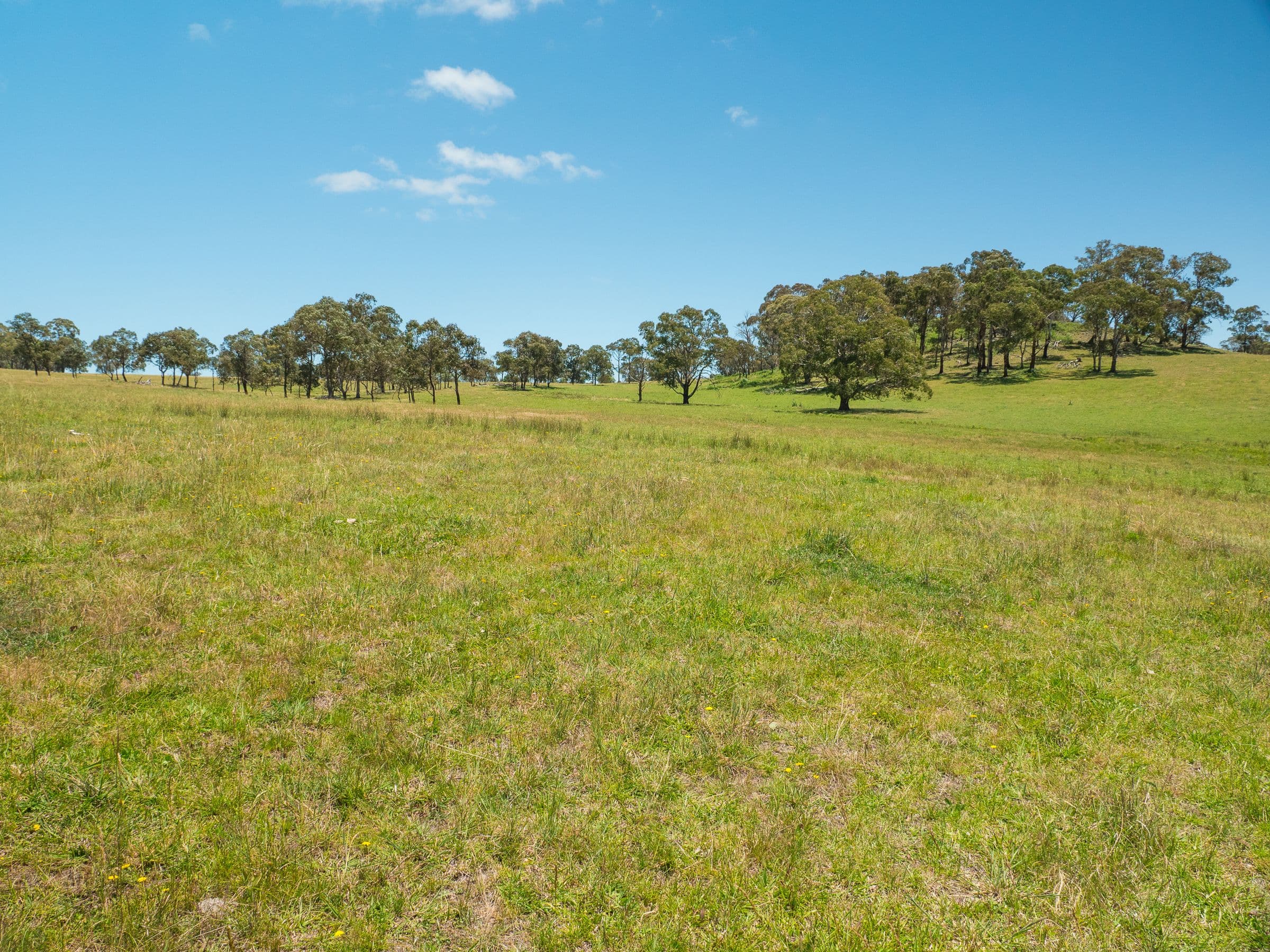 286 Mount Mitchell Road, Guyra NSW 2365, Guyra - Thumbnail 5