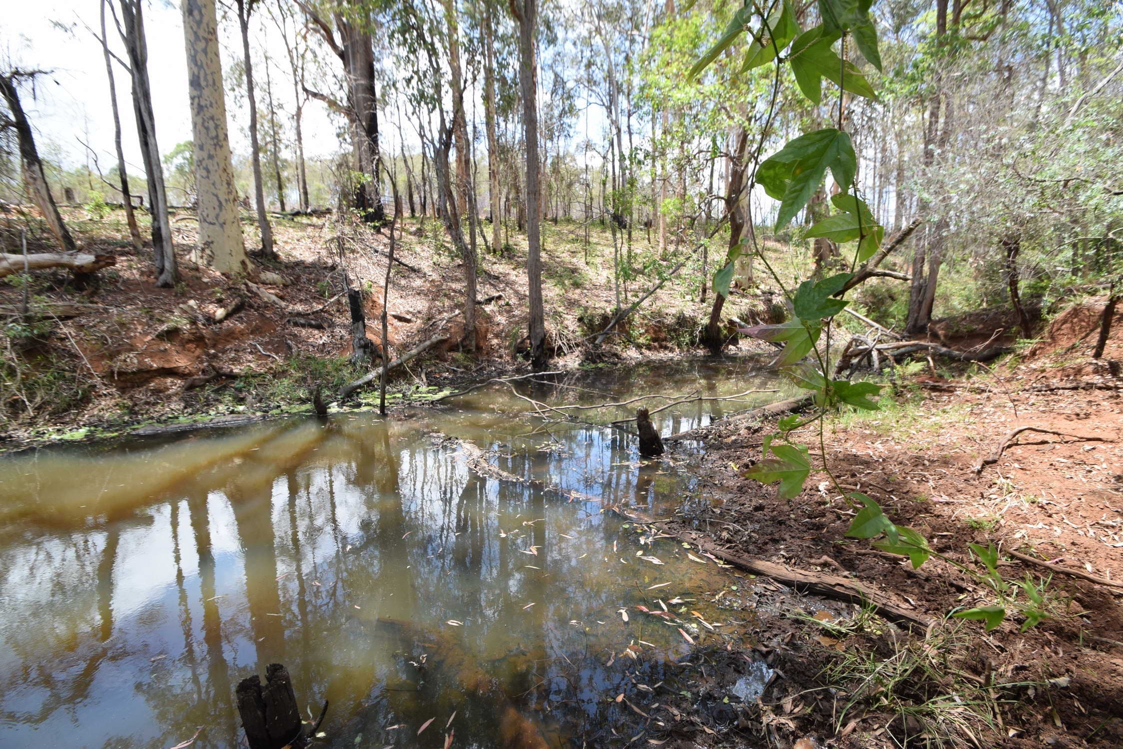 Lot 2 Gatton Esk Road, Esk QLD 4312, Esk - Thumbnail 6