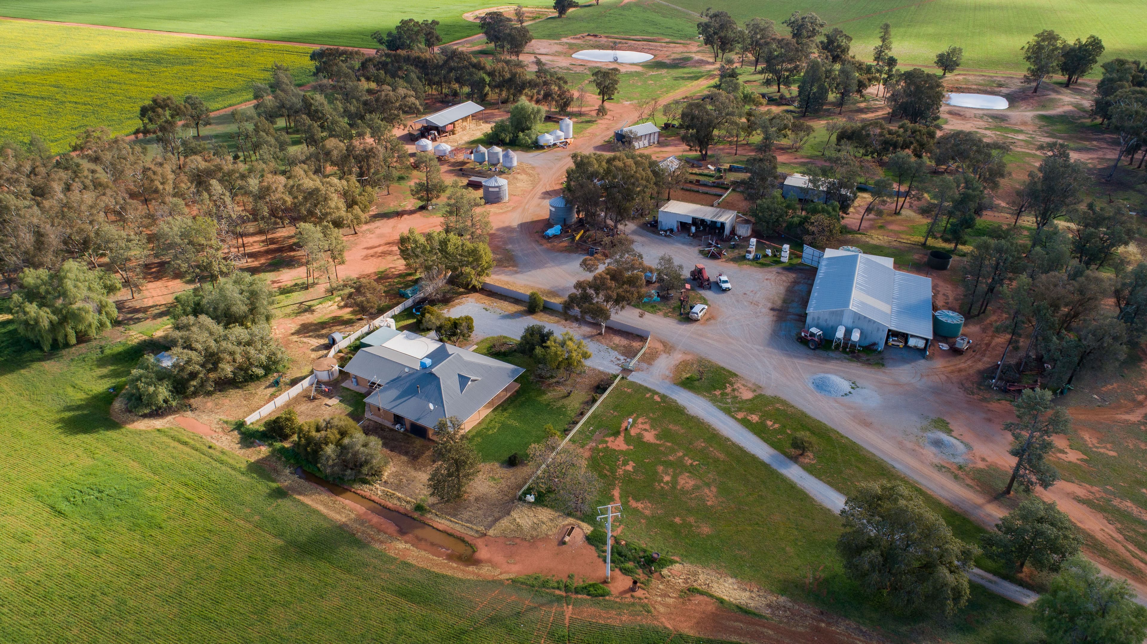 1292 Lower Middle Road, Ganmain Via, Coolamon NSW 2701, Coolamon - Thumbnail 5