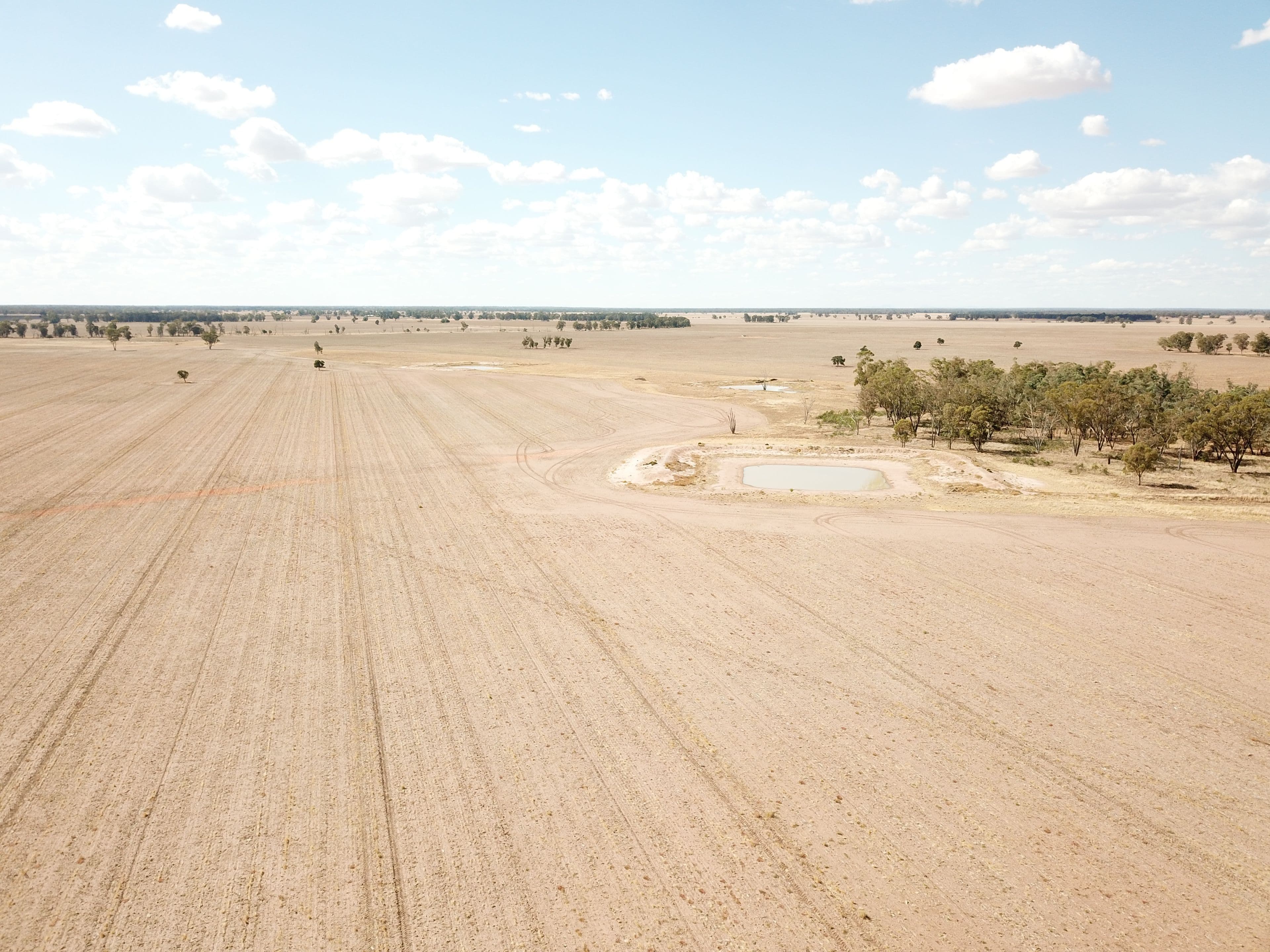 Pett's Block, Pineview Road, NARROMINE NSW 2821, Narromine - Thumbnail 6