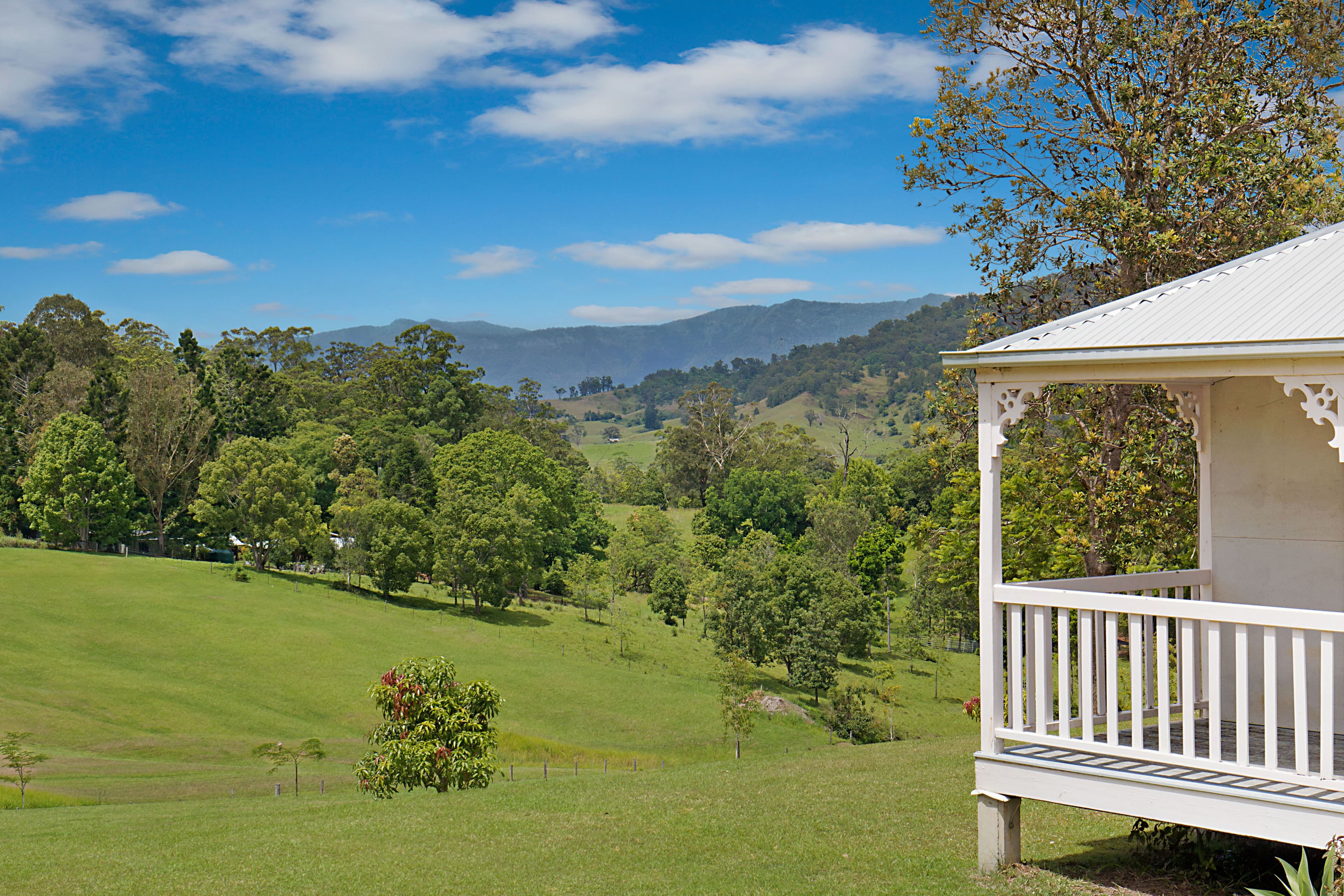37 Bald Mountain Road, Limpinwood NSW 2484, Limpinwood - Thumbnail 8