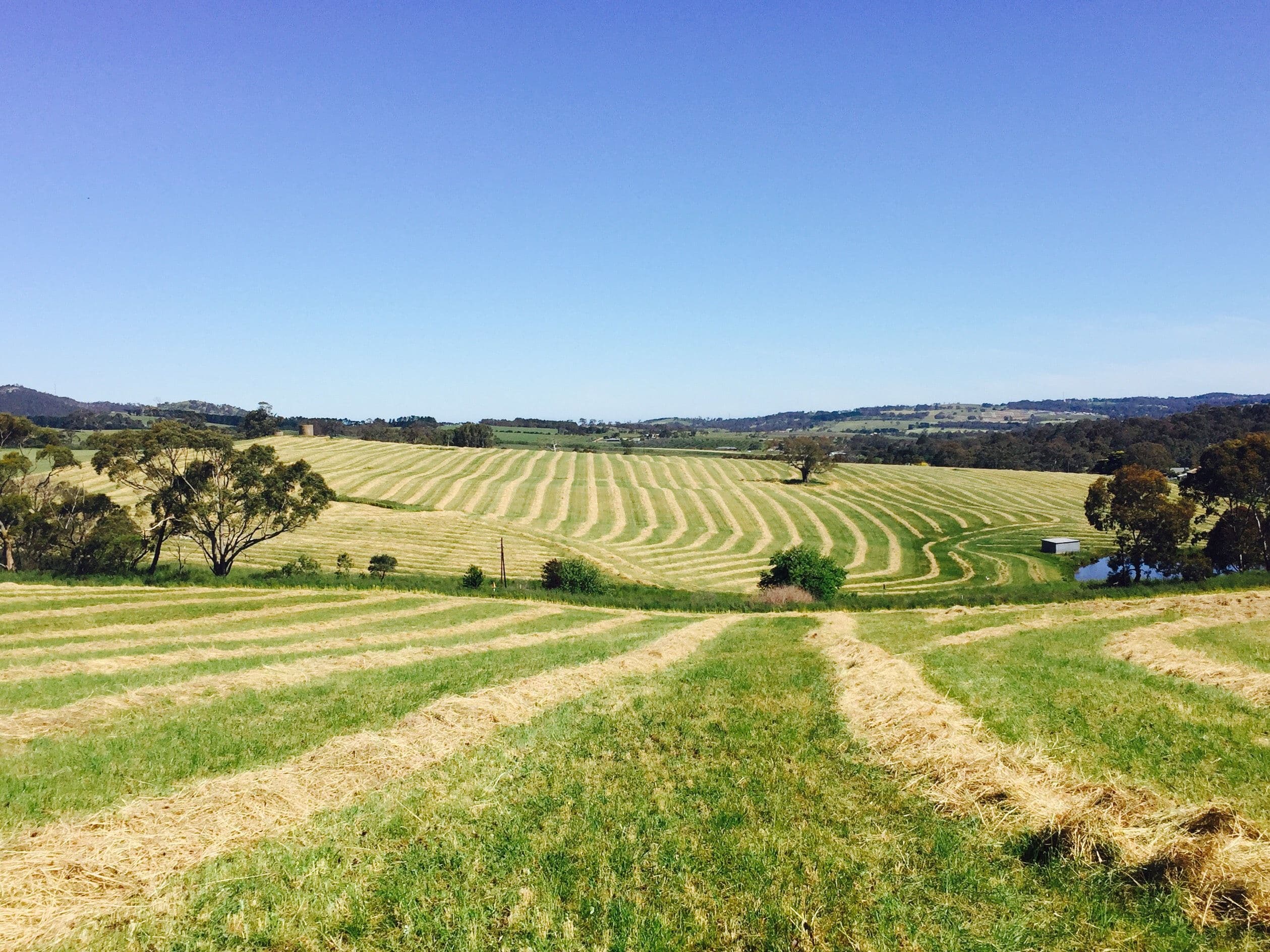 301 & 302 Old Princes Highway, Nairne SA 5252, Nairne - Thumbnail 3